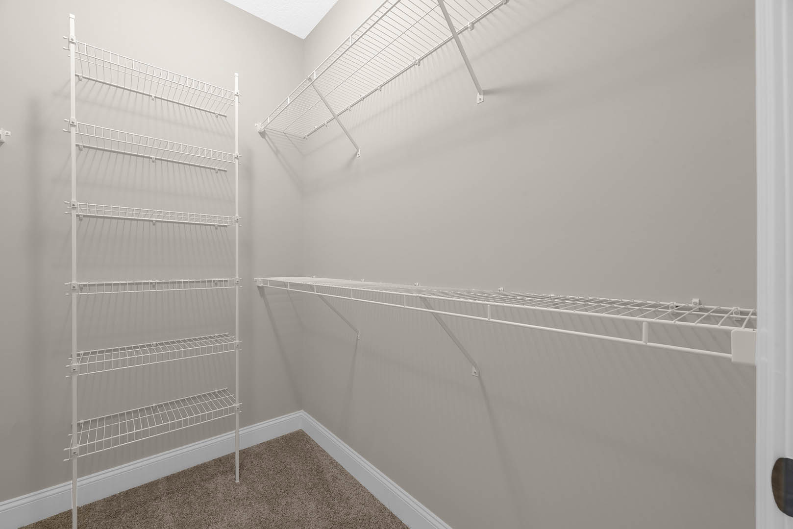 Carpeted room with white wire shelving mounted on plaster wall