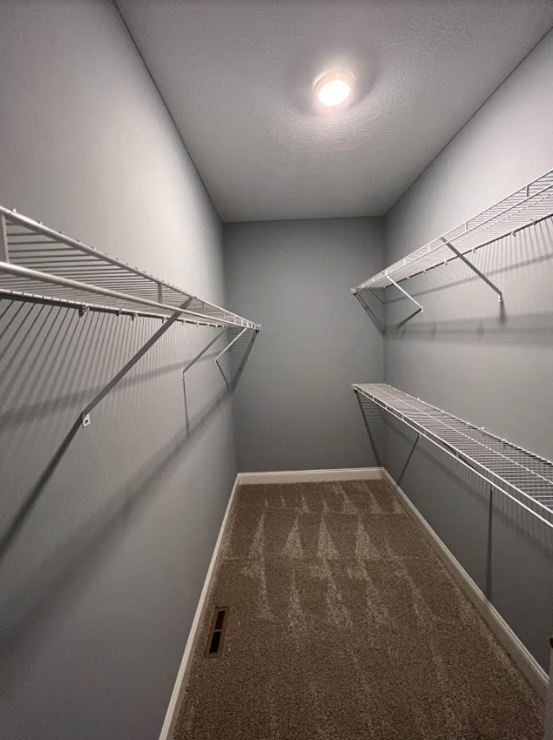 Walk-in closet with white shelving, carpeted floor, window, and recessed ceiling light
