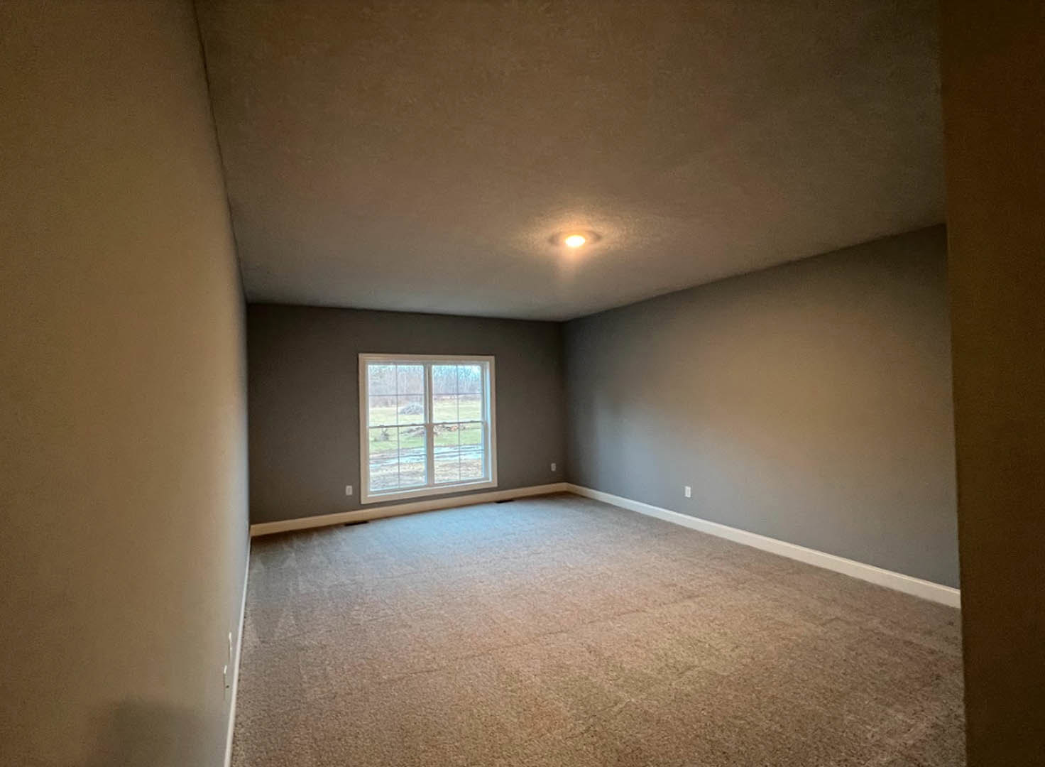 Carpeted room with white plaster walls, large window overlooking grassy field, ceiling light fixture centered above.