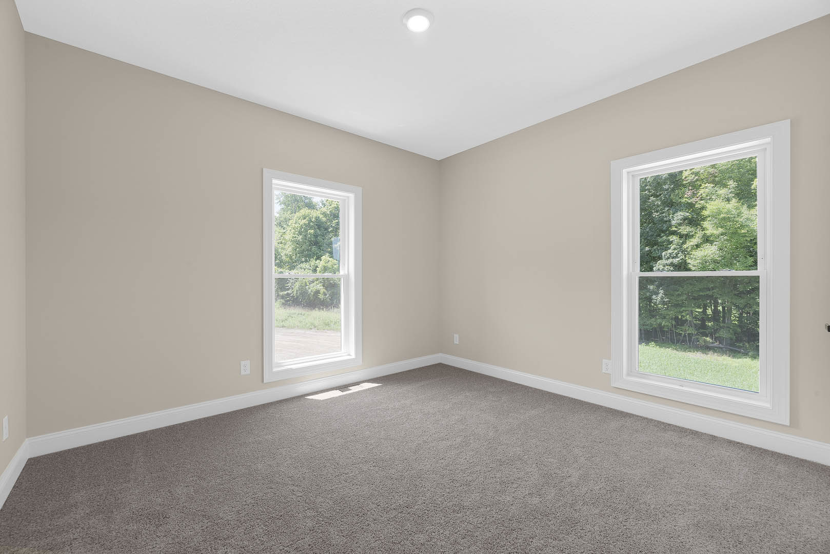 Carpeted room with two windows, white plaster walls, ceiling light fixture, and wood trim molding; trees visible outside.