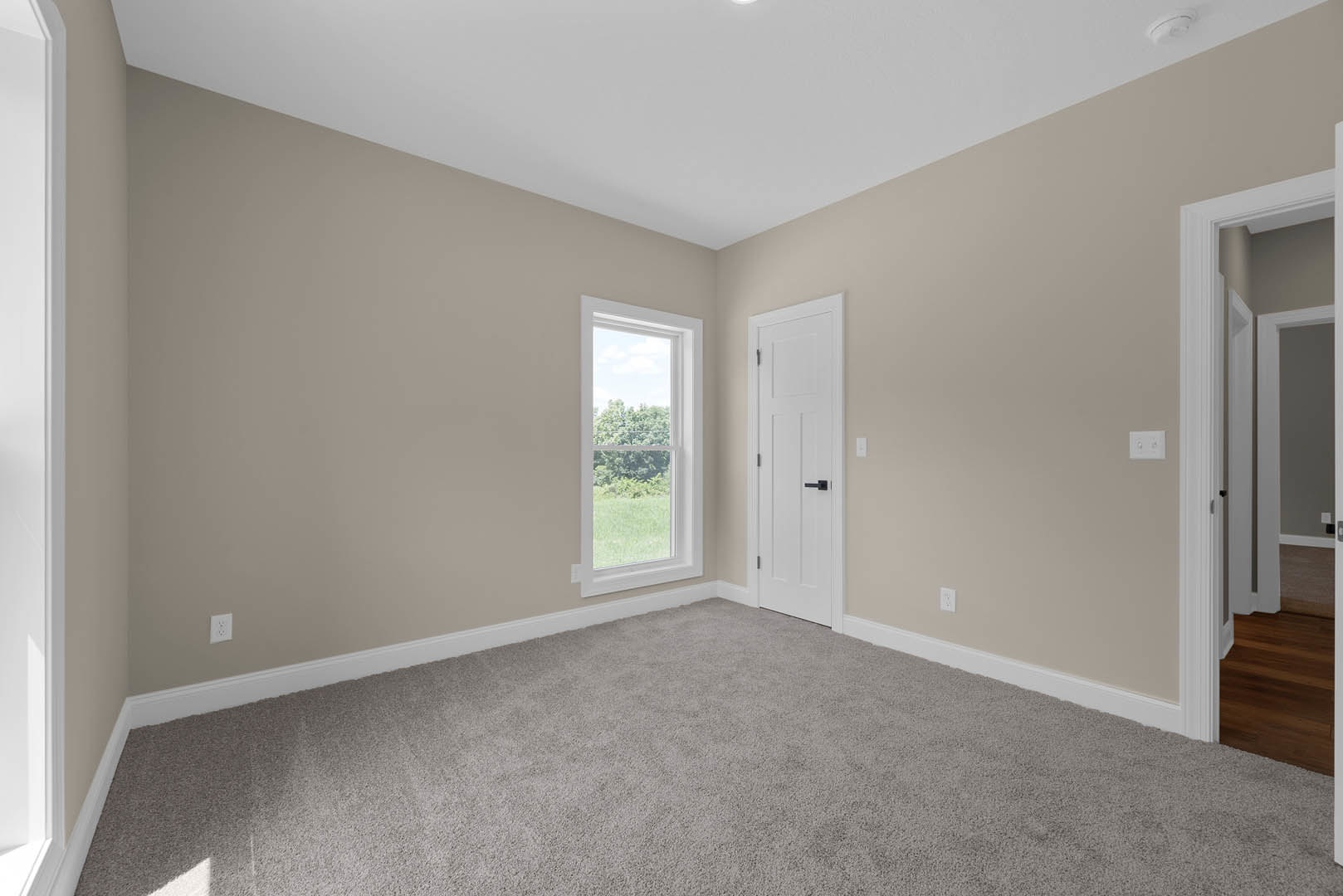 White paneled door with black handle, beige carpeted floor, white walls with light switch, large window showing green trees, wood laminate flooring transition, simple baseboard