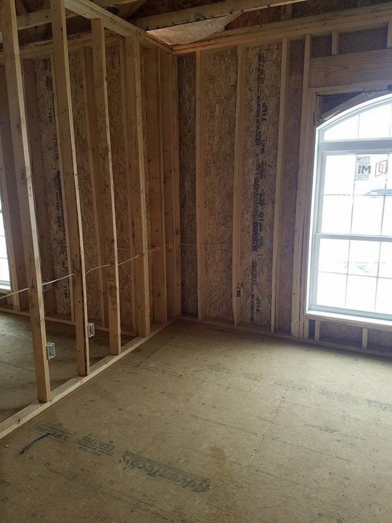 Room under construction with exposed wood framing, window featuring a sign, unfinished floor, and a cat sleeping on a hammock.