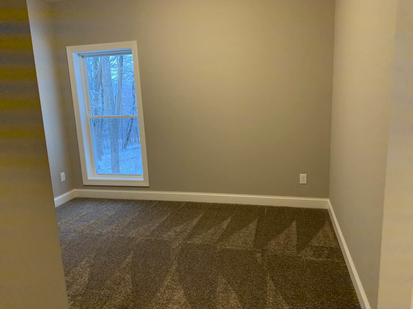 Carpeted bedroom with geometric pattern, large window overlooking trees, white plaster walls, ceiling light fixture