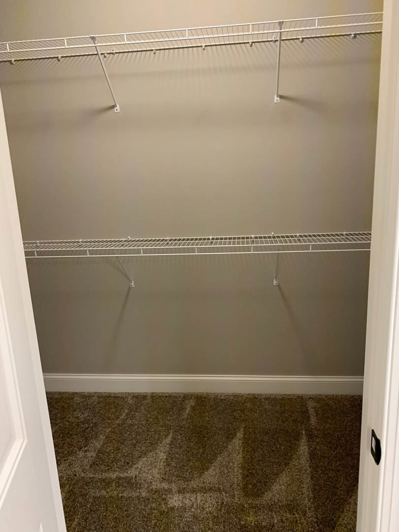 Walk-in closet with white shelving units, beige carpet flooring, and an open door revealing organized storage space