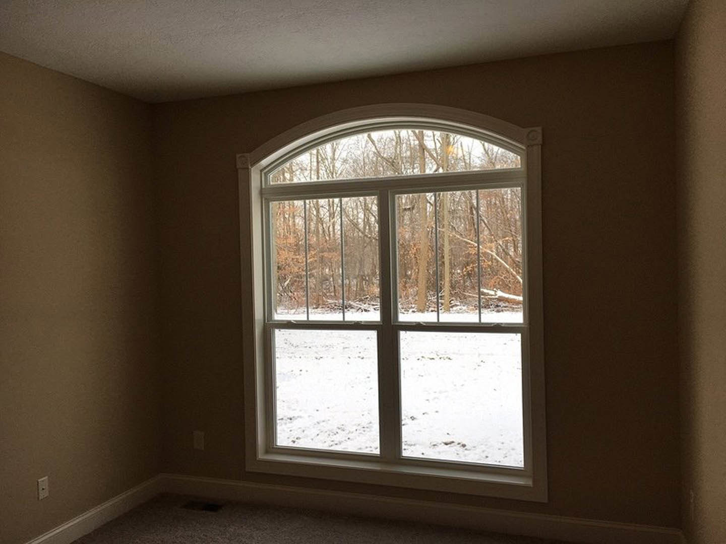 Large window with black trim overlooks snowy landscape and trees; white walls and plush carpeted floor inside room.