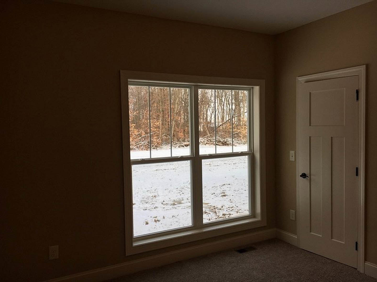 Neutral-toned room featuring a paneled door, large window with white blinds, snowy landscape and trees visible outside, white electrical outlet on the wall, light wood flooring