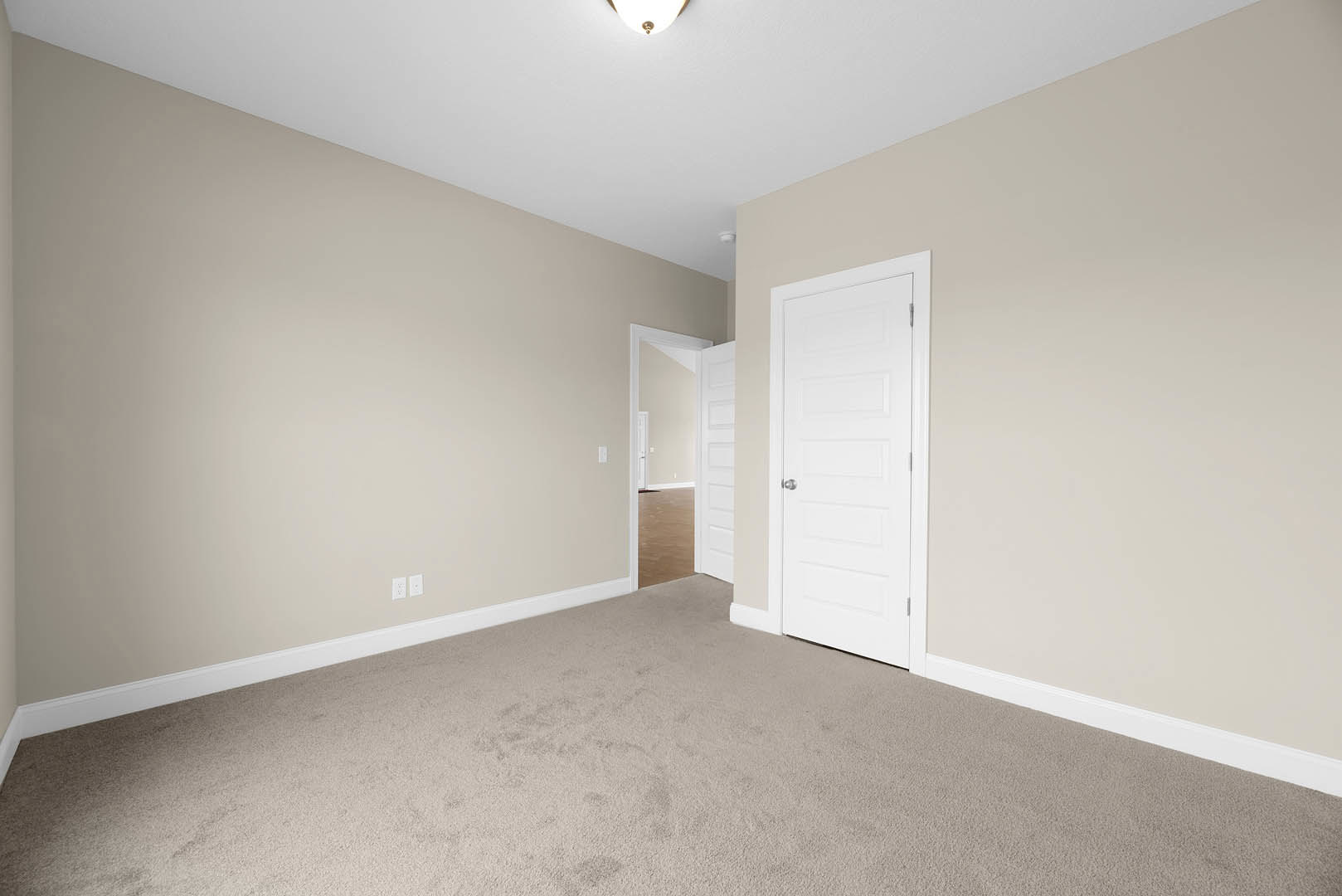 White paneled door with silver knob set in a room with beige carpet, white walls, and crown molding