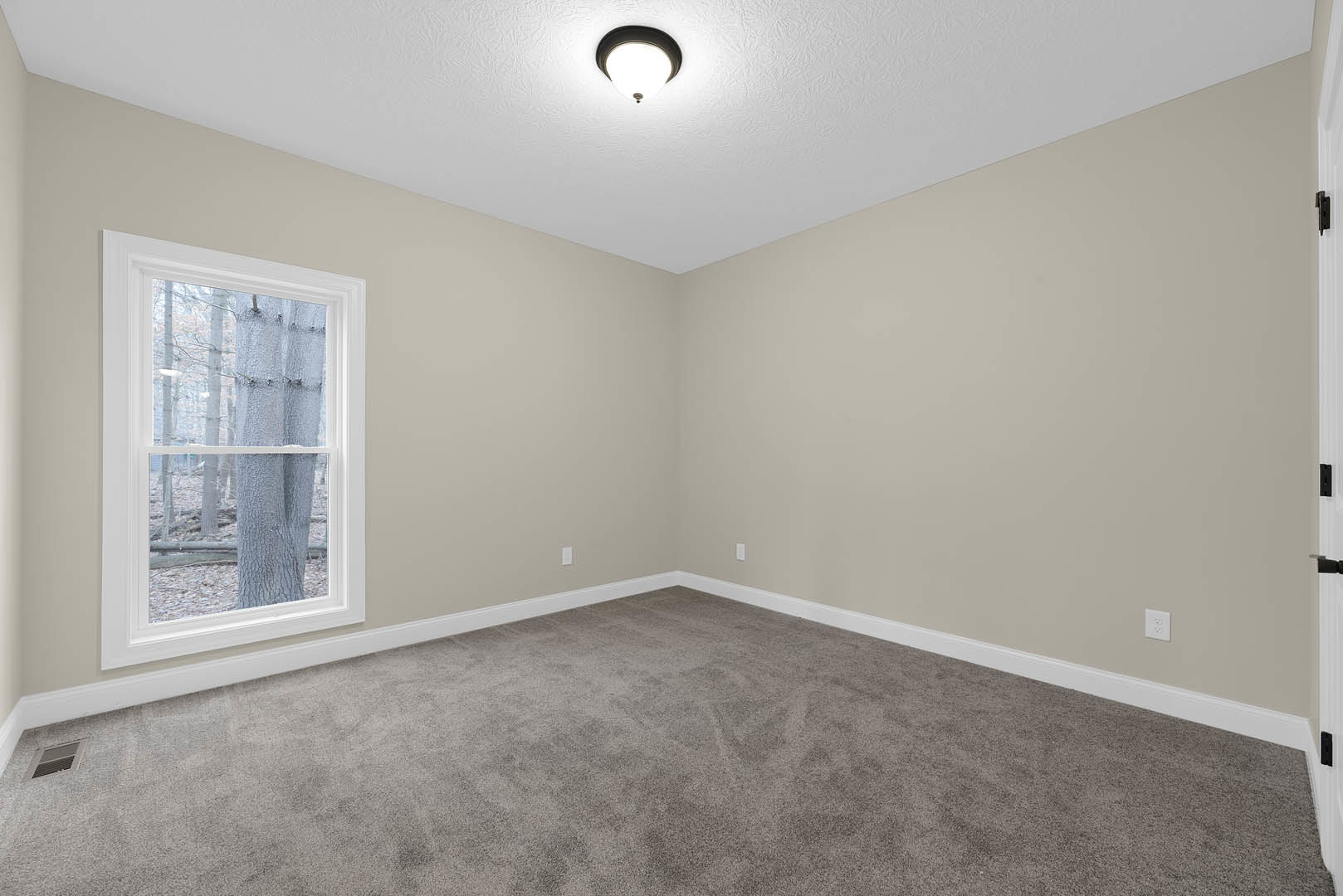 Carpeted room with white trim, large window showing tree view, ceiling fan, and close-up curtain detail