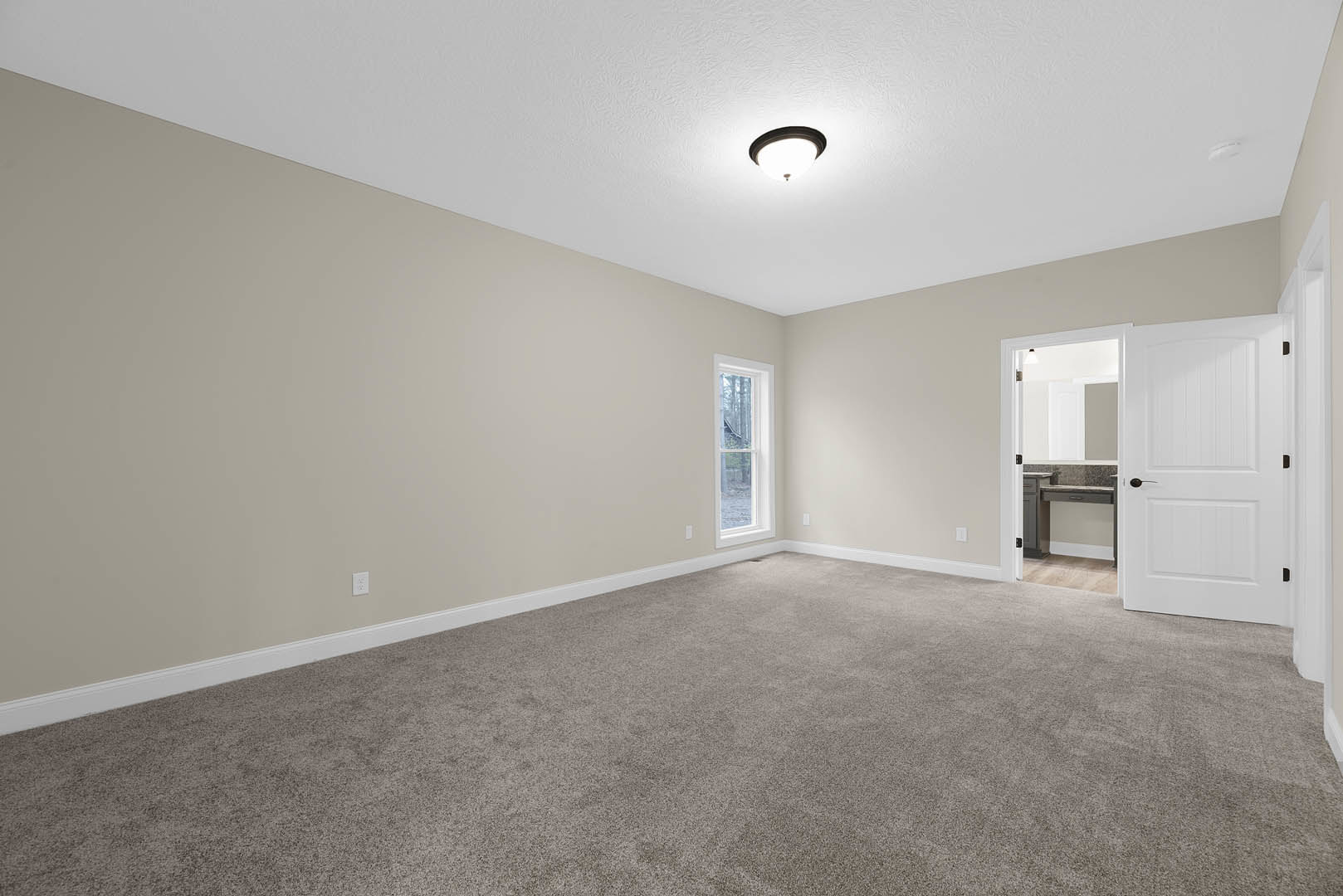 Carpeted room with white walls, open white door with black handle, large window with white frame, ceiling light fixture