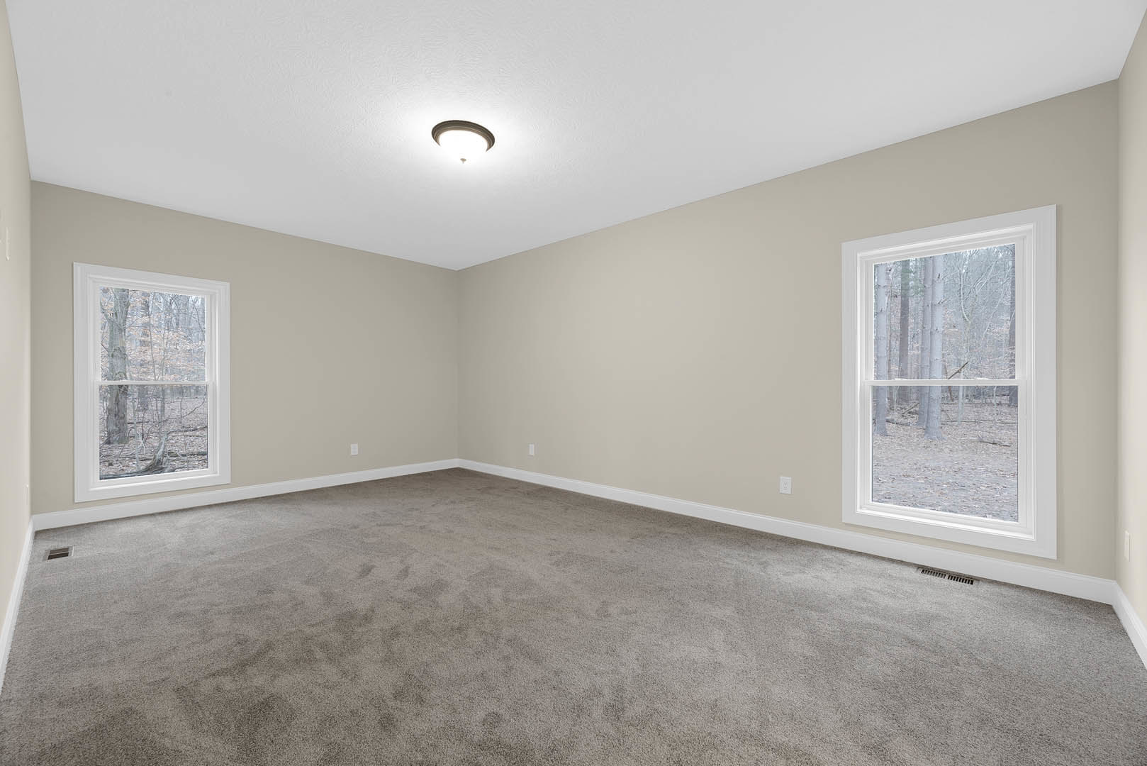 Carpeted room with large window framed by white trim, trees visible outside, ceiling-mounted light fixture with white shade