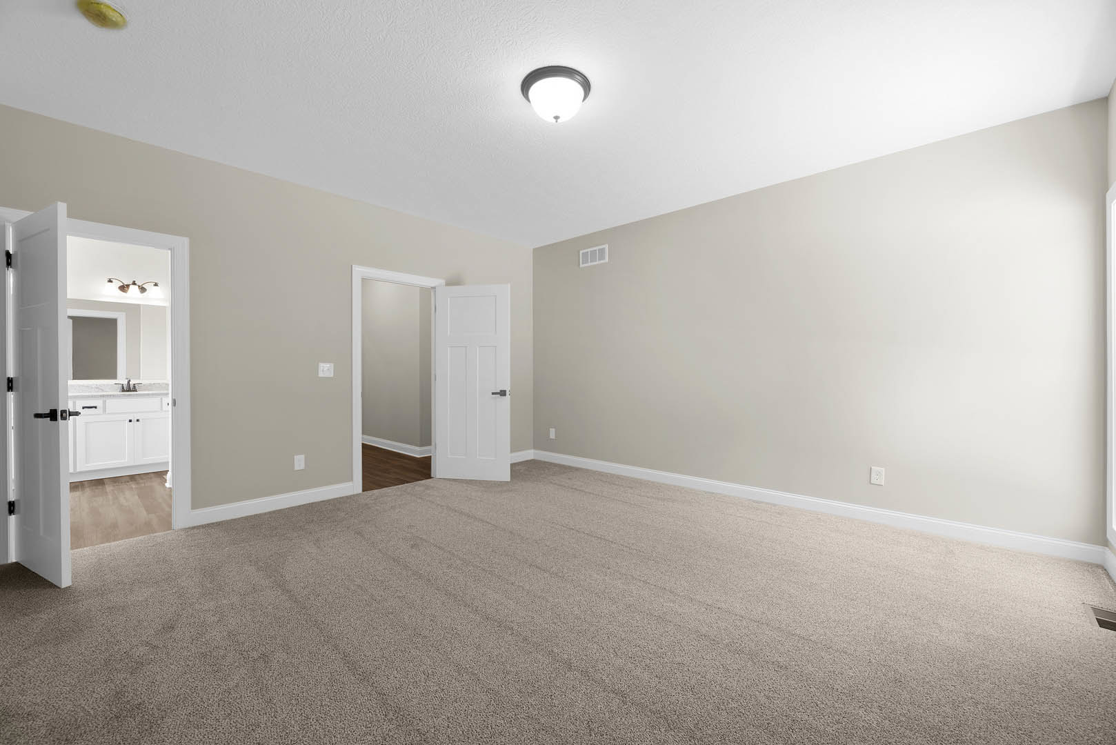 White paneled door with black handle opens to carpeted room, revealing bathroom with white cabinetry, large mirror, and ceiling light fixture.