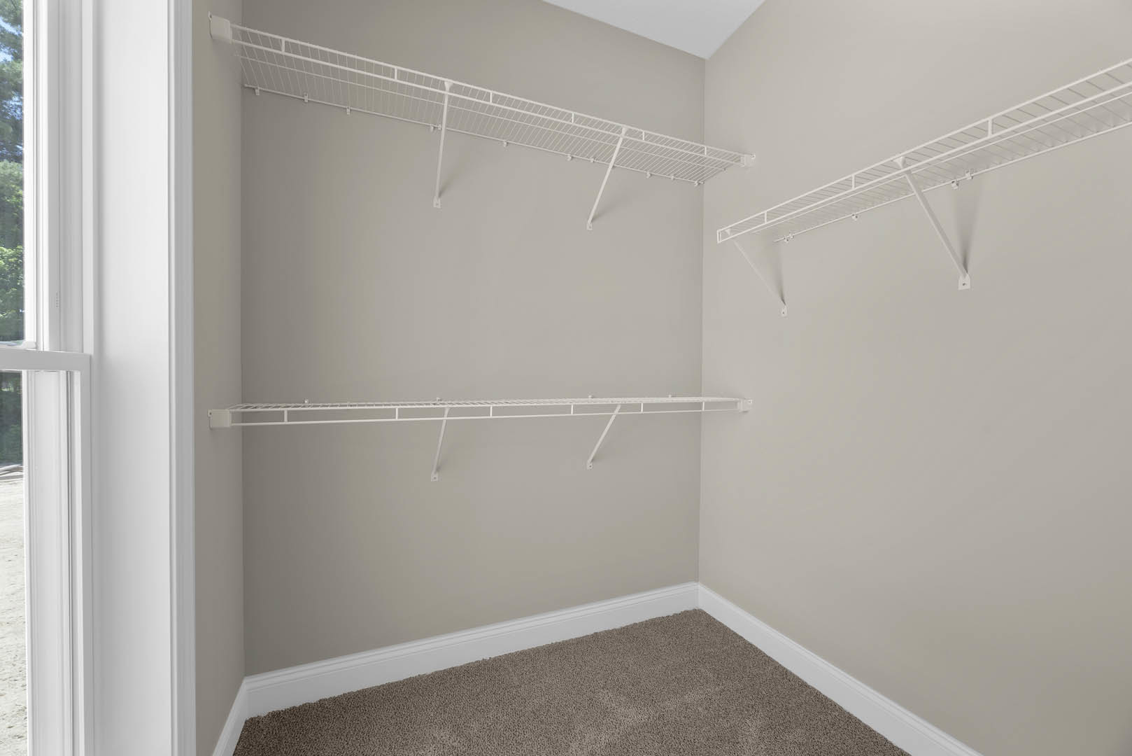 White built-in shelves along a plaster wall, soft grey carpet flooring, white ladder leaning against the shelves, window frame detail visible, ceiling with crown molding.