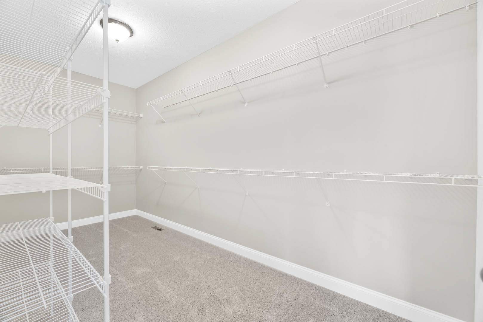 Walk-in closet with white built-in shelves, light-colored carpet flooring, and smooth plaster walls.