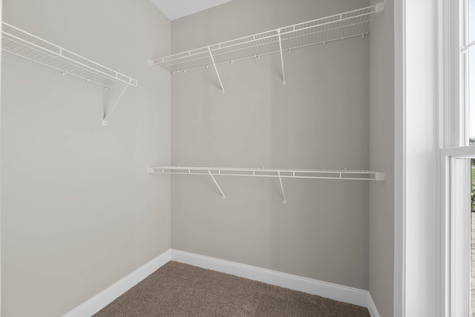 White built-in shelves on a white plaster wall in a carpeted room with minimalist interior design