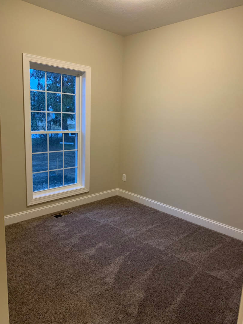Carpeted room with large multi-pane window framed in black, white walls, view of tree outside
