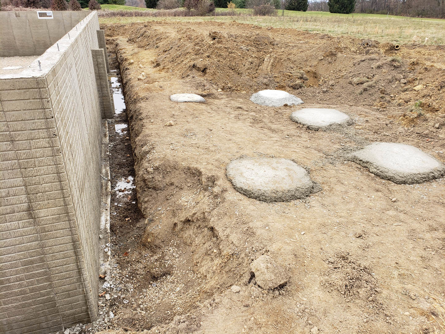 Concrete blocks partially embedded in soil, surrounded by rocks, grass, and small plants in an outdoor setting.