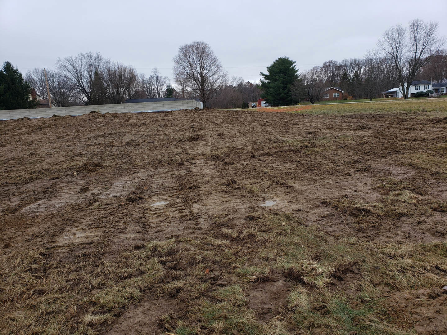 Expansive dirt field bordered by grassy patches, leafy and bare trees, and a white wall in the background under an open sky