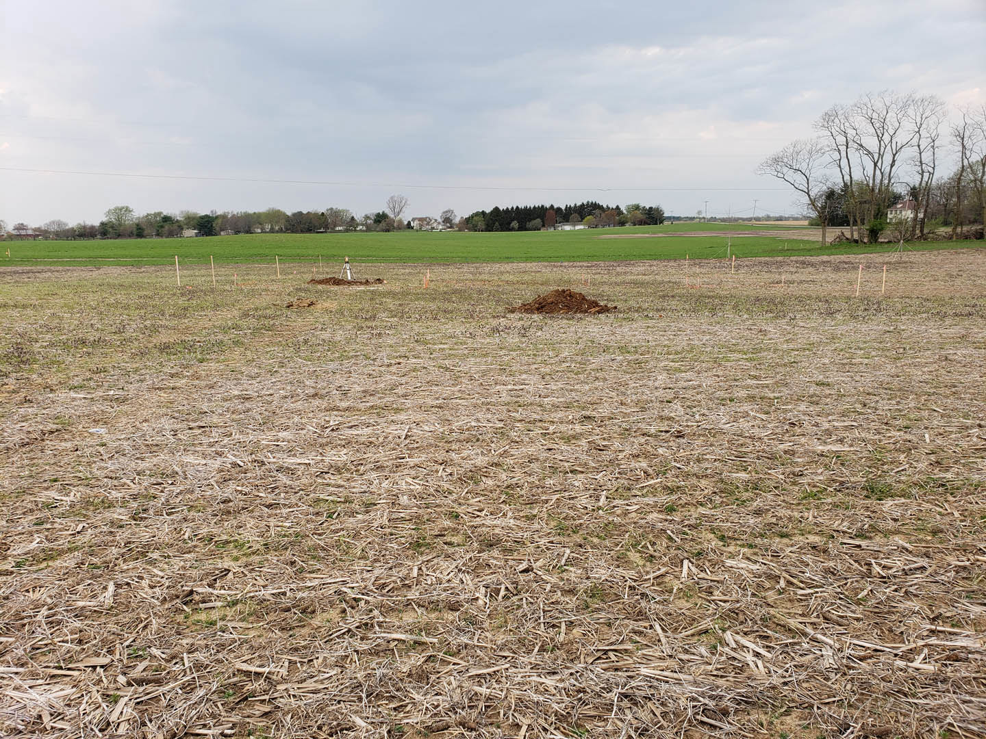 Modern farmhouse with white siding and dark roof set beyond a grassy field, surrounded by mature trees under a partly cloudy blue sky, dirt pile visible in foreground