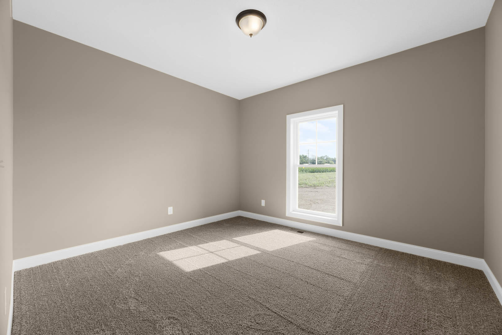 Carpeted room with white walls, large window overlooking grassy field, ceiling-mounted light fixture, and simple molding along baseboards