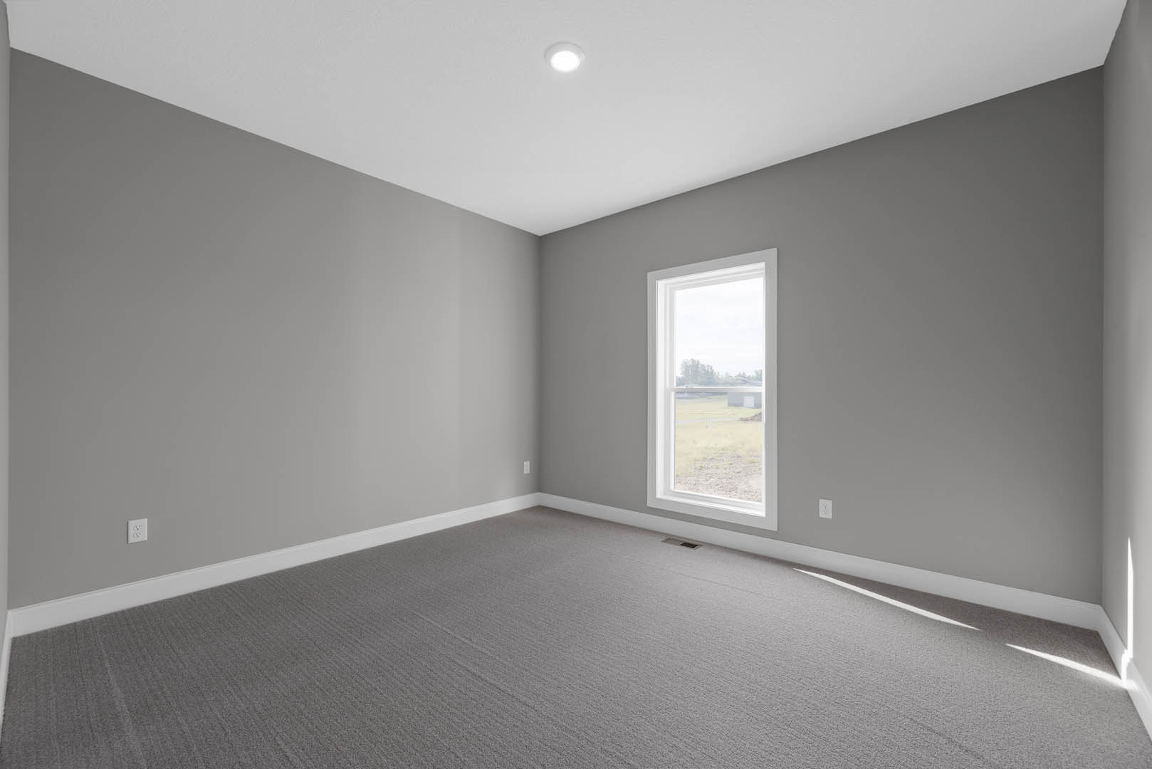 Neutral-toned room with grey carpet, white walls, ceiling light fixture, large window overlooking foggy field and distant trees