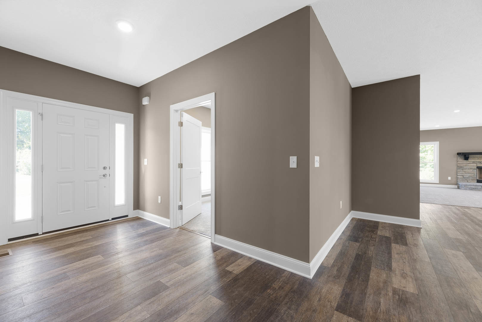 Wood flooring and white trim in a room featuring a white door with glass panels, natural light streaming through, and a fireplace with a black mantel.