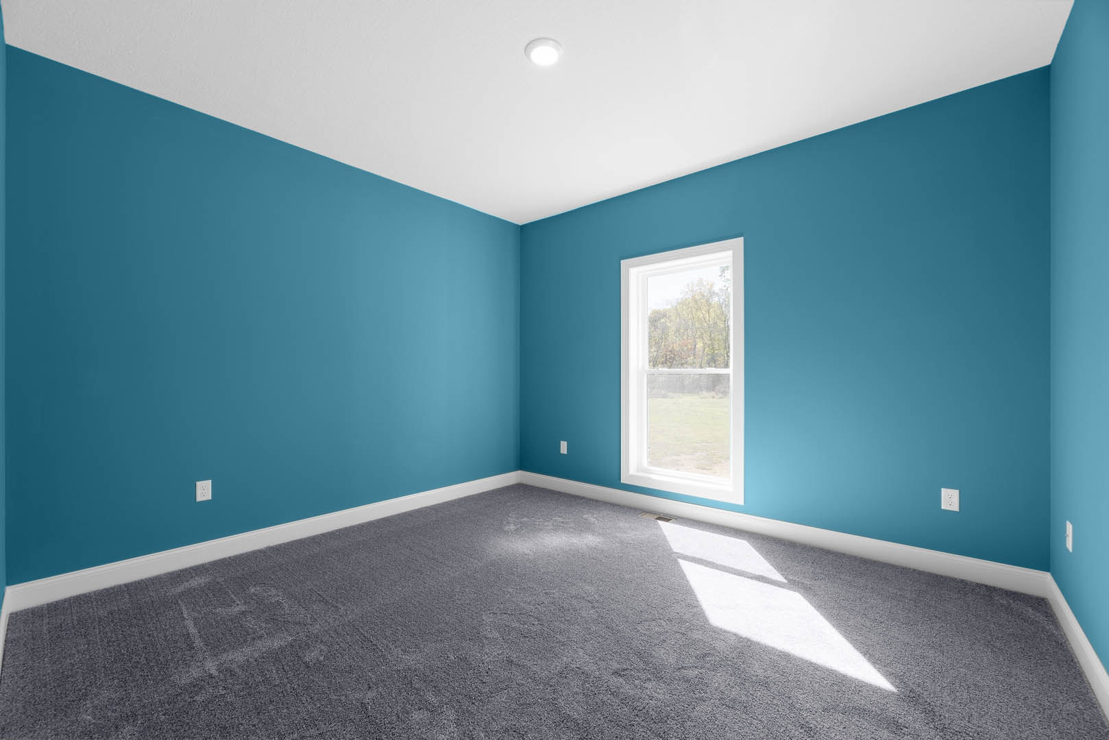 Blue-walled room with plush carpet flooring, ceiling light fixture, and window overlooking leafy trees