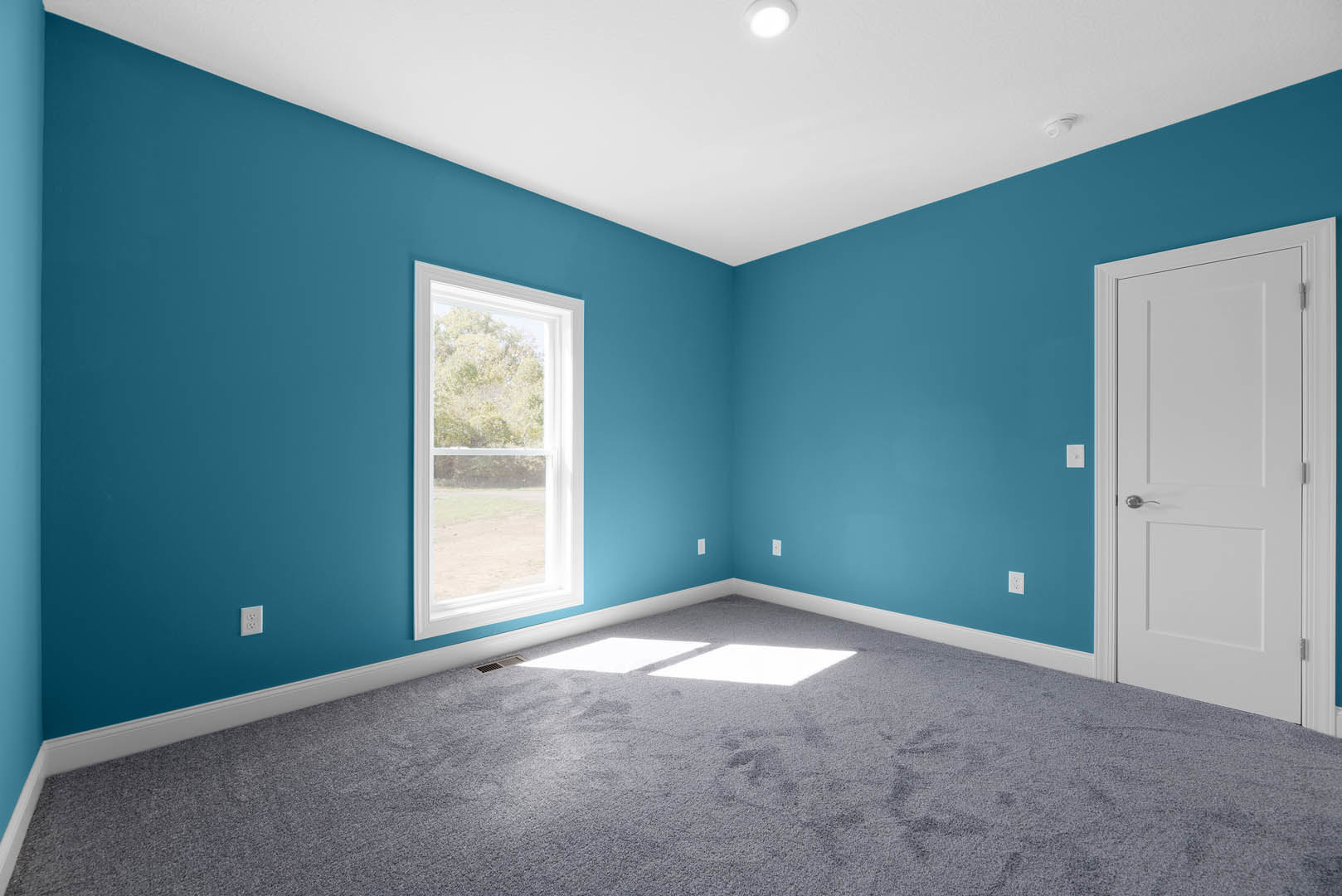 Blue-painted walls, white door with silver handle, carpeted floor, window overlooking trees, person standing near white surface with shadow