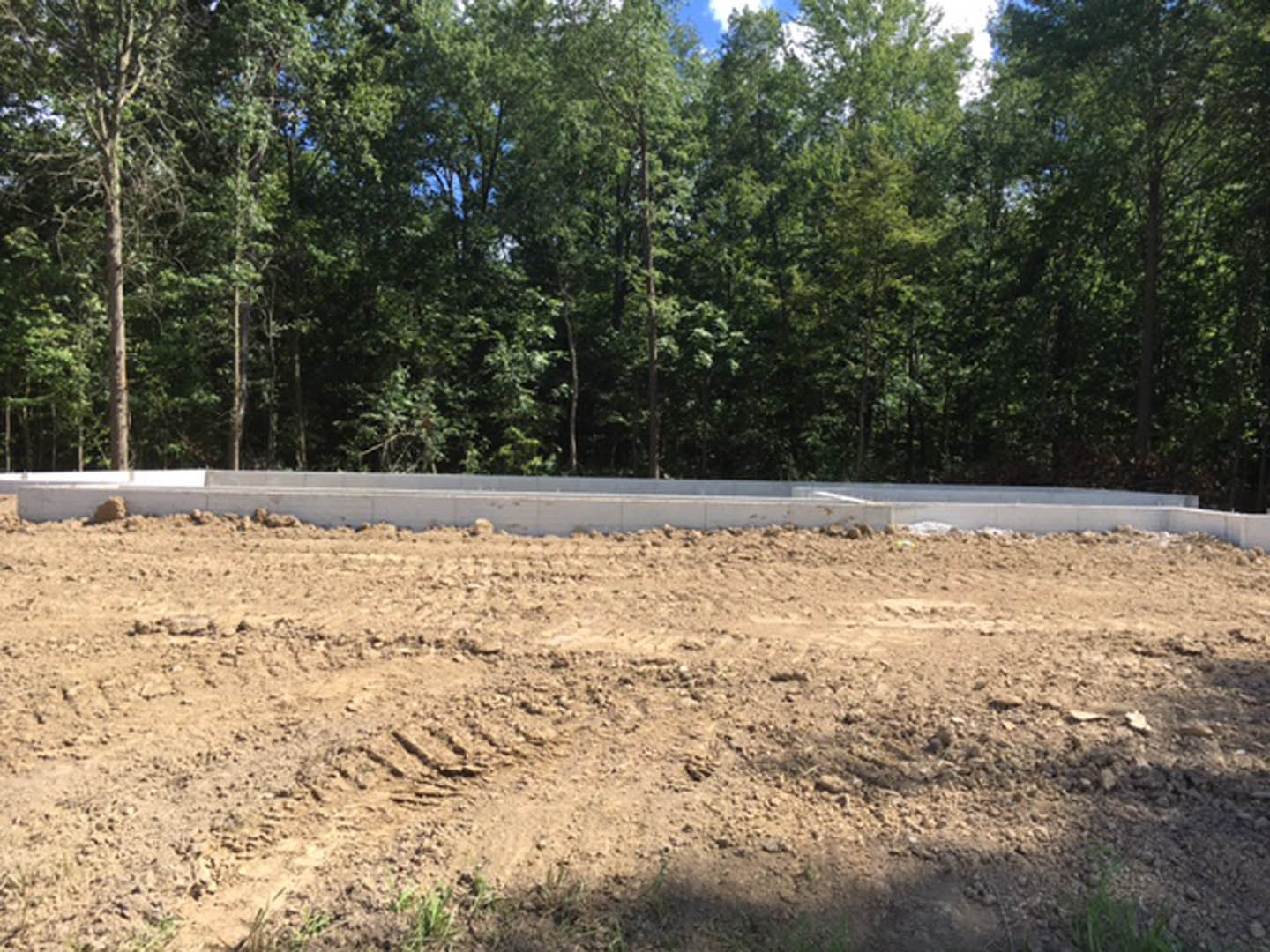 Dirt road bordered by a dense group of trees, tire tracks visible on soil, open land lot under clear sky