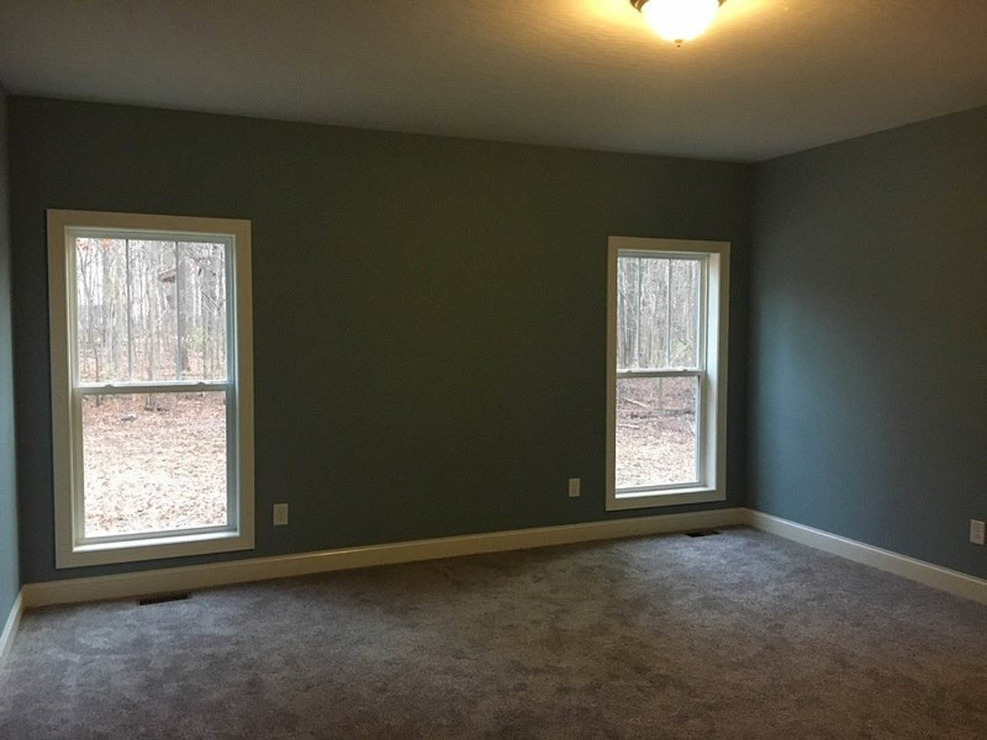 Bright room featuring two large windows with views of lush forest and trees, soft carpeted floor, smooth plaster walls, and a modern ceiling light fixture.