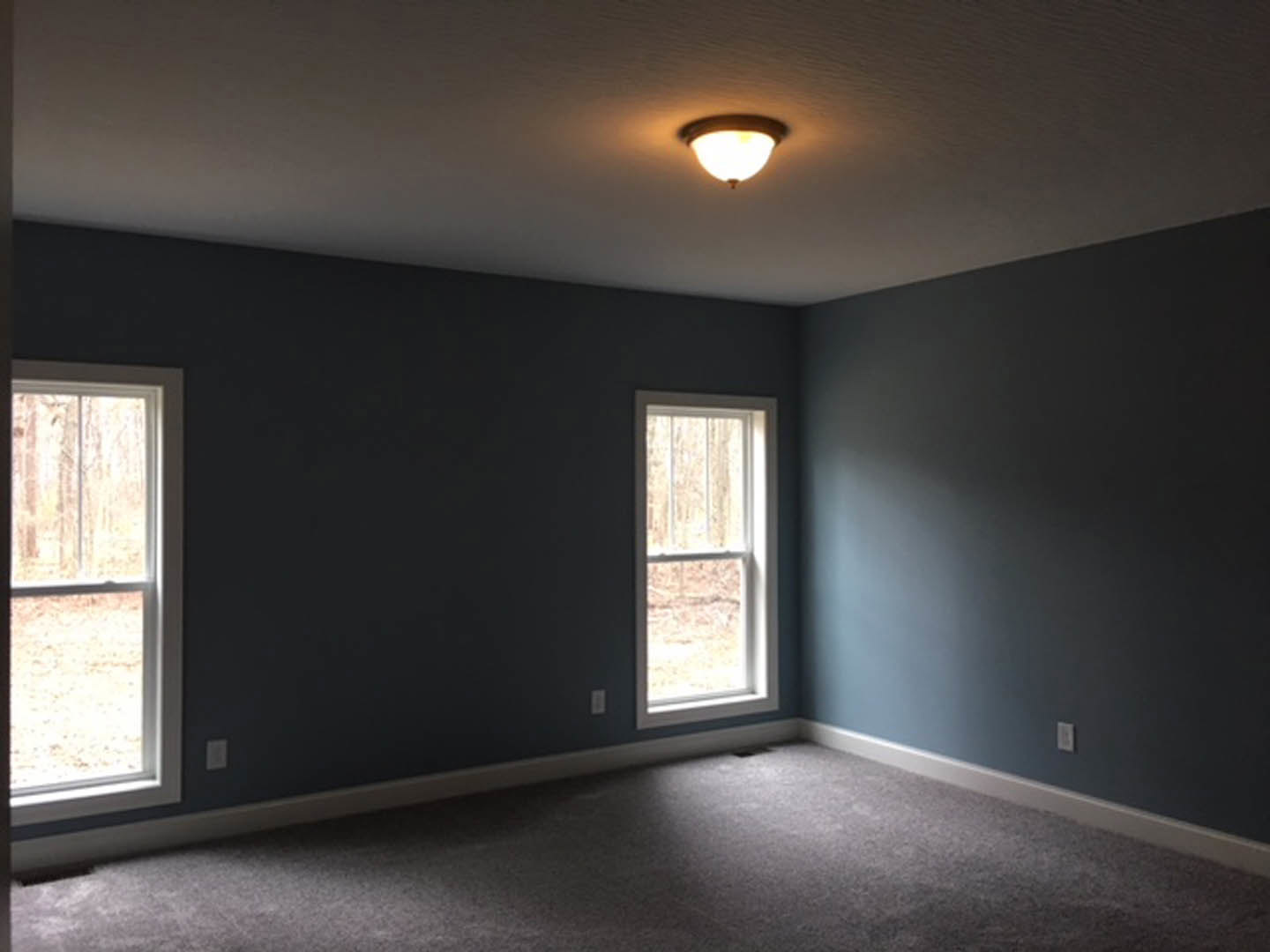 Carpeted room with two windows, white plaster walls, ceiling light fixture, and door; one window faces a brick wall, the other overlooks a forest.