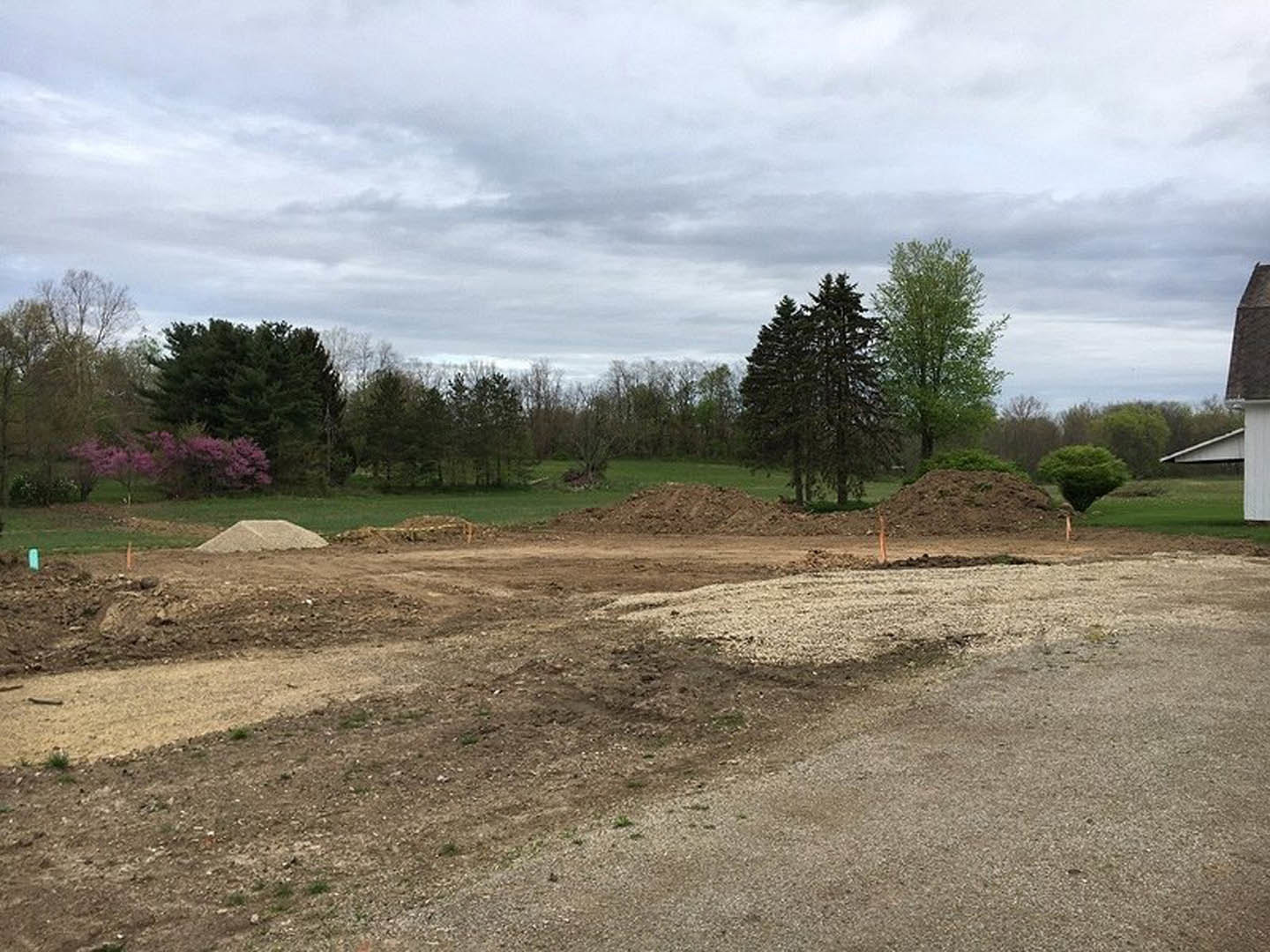 Dirt road bordered by green grass and trees under a cloudy sky, with purple flowers on a bush in the foreground.