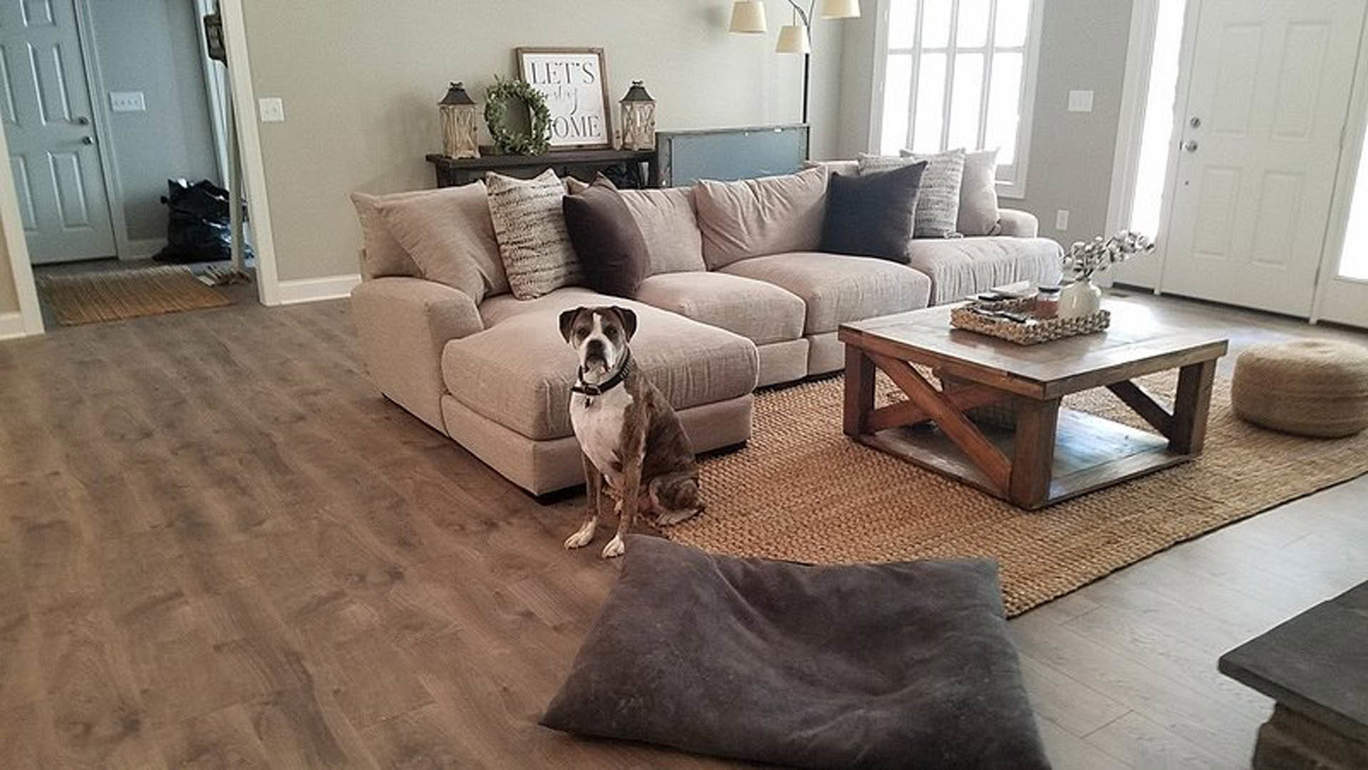 Tan dog sitting on hardwood floor in front of gray upholstered couch, green wreath centerpiece on wooden coffee table, neutral walls, decorative vase visible in foreground.