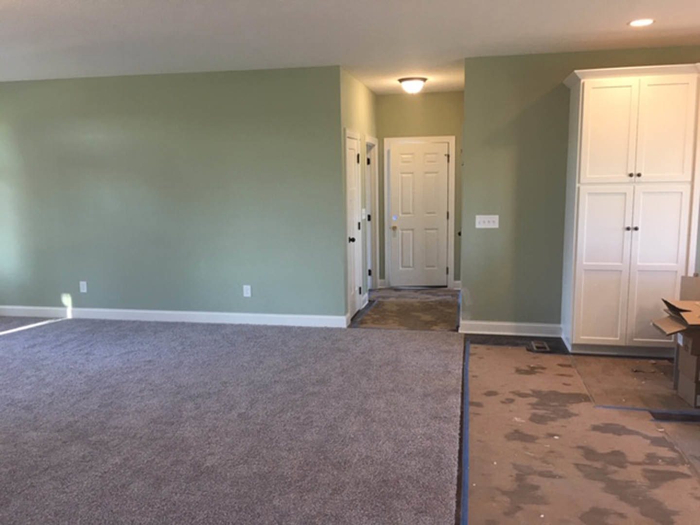 Carpeted room with a green painted wall, white door featuring a light fixture, white cabinet with black knobs, ceiling light, visible water stains on the floor