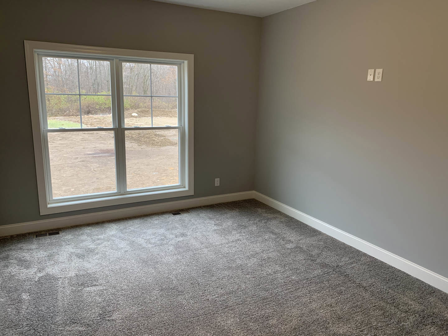 Bedroom with beige carpet, white walls, large window overlooking dirt path and trees, white ceiling, electrical outlet and light switches visible