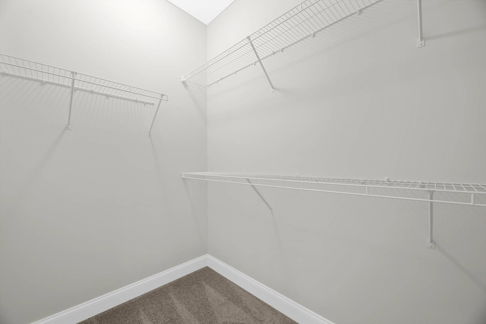 Built-in white shelves against a smooth plaster wall, white ceiling above, neutral carpet flooring below, minimalist and symmetrical interior design