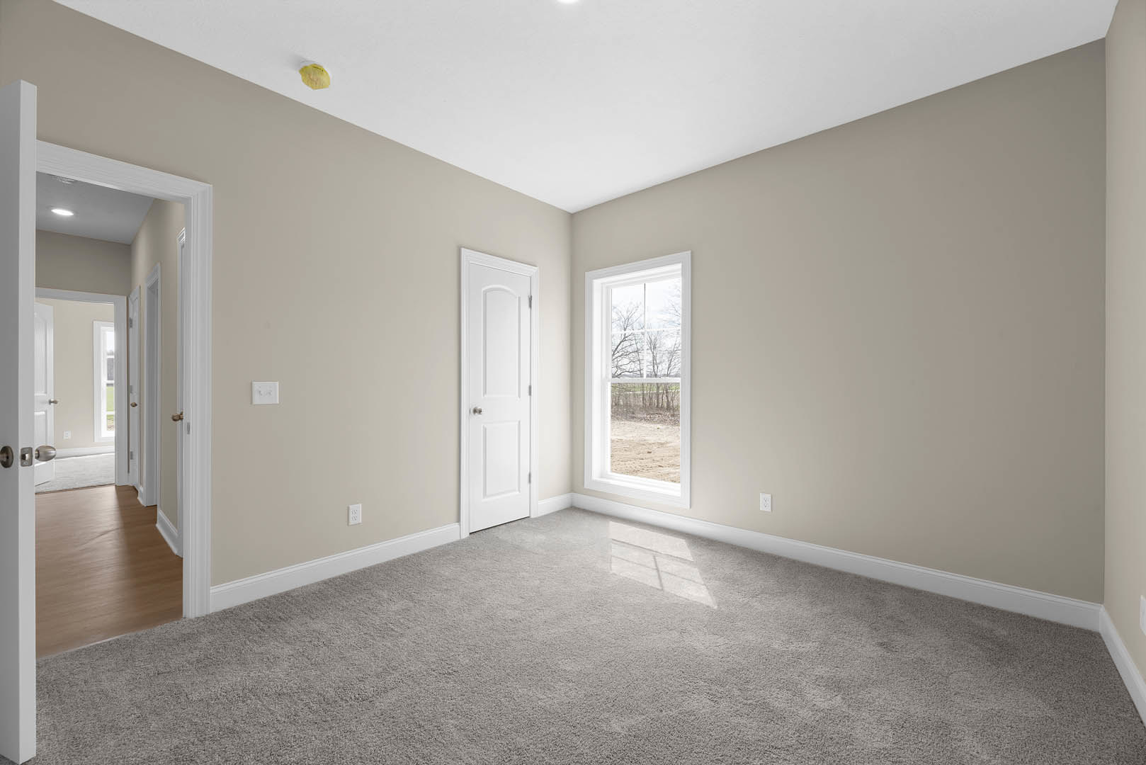 Carpeted room with white paneled door featuring silver knobs, large window overlooking trees, white plaster walls, and wood trim