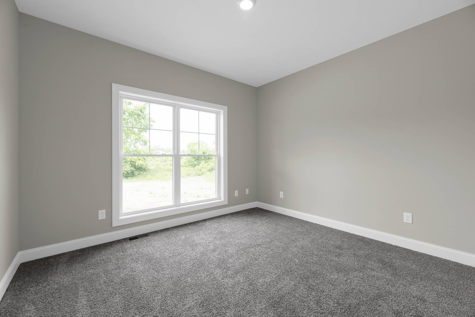 Bright room with white walls, large window framed in white, grey carpet flooring, ceiling light fixture, and view of a tree outside
