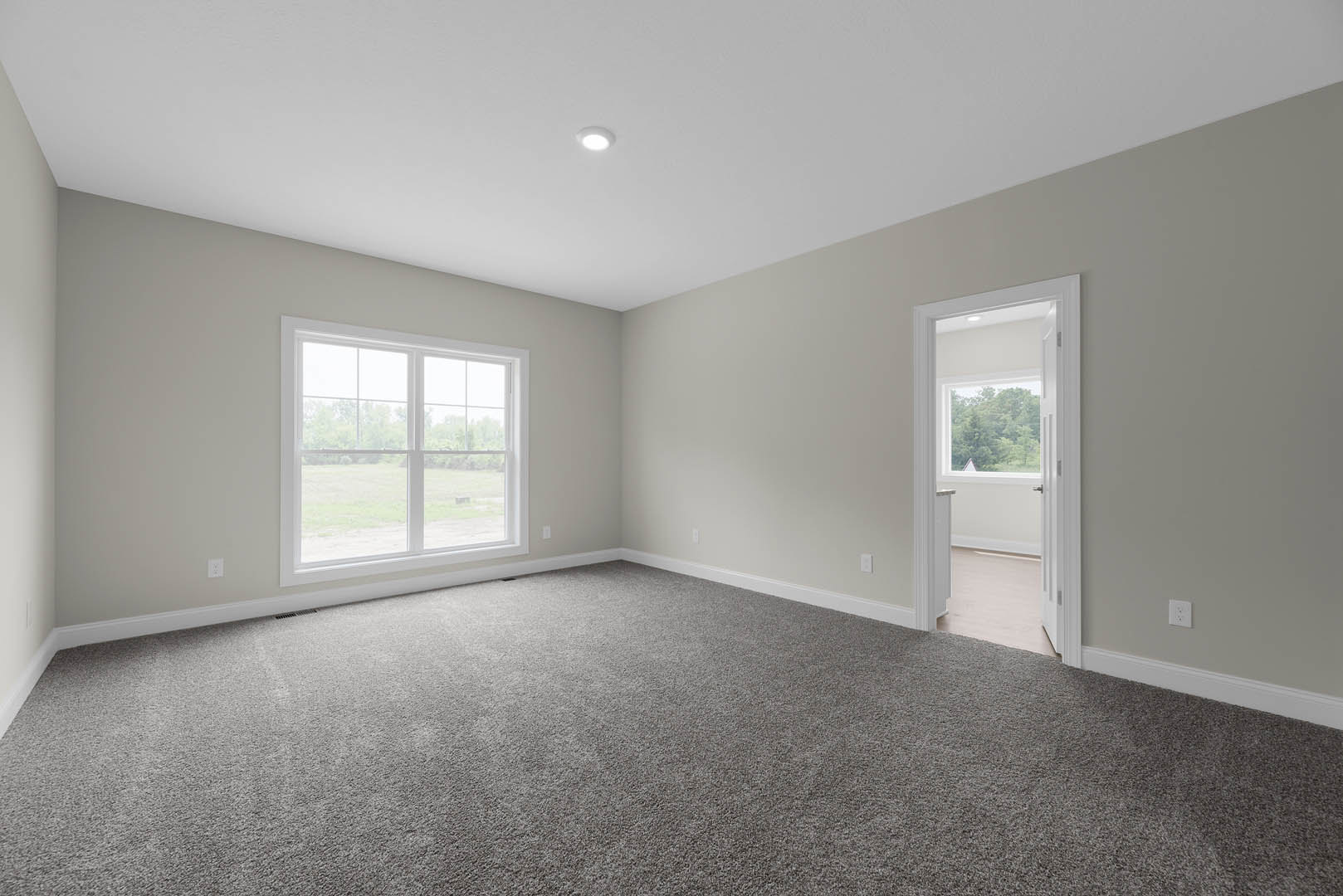 Bright room with grey carpet, white walls, ceiling light fixture, white door with glass panel, and large windows overlooking grassy field.