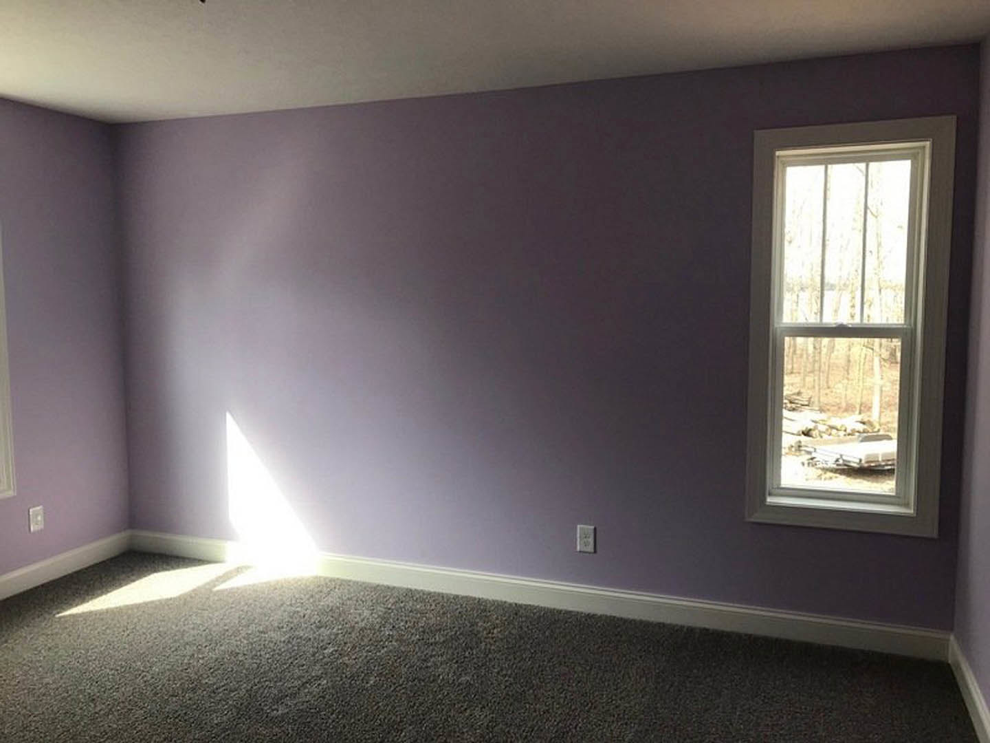 Sunlit room with white-framed window, plush beige carpet, and smooth plaster walls; trees visible outside