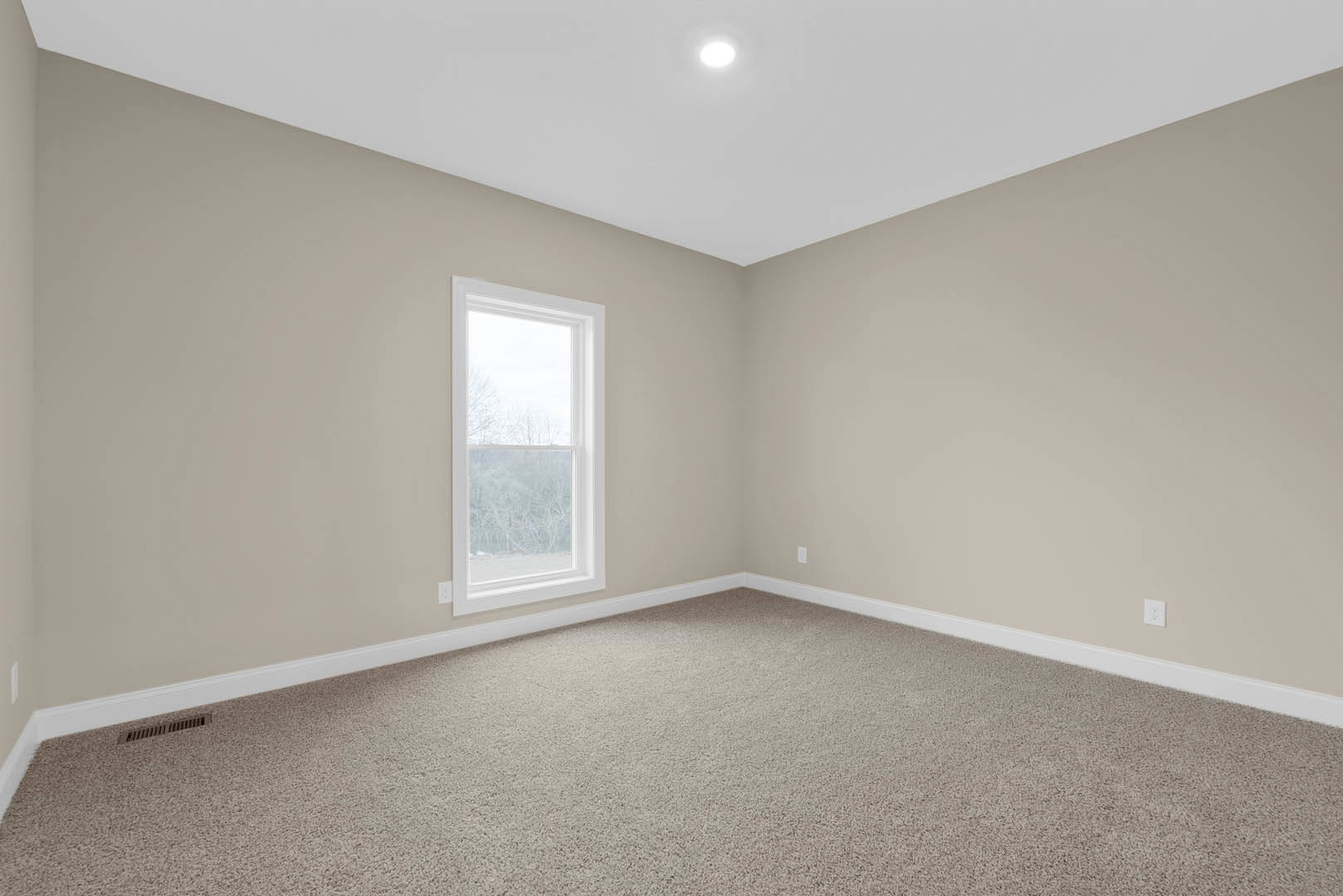 Carpeted room with white-framed window overlooking trees, plaster walls, and ceiling light fixture