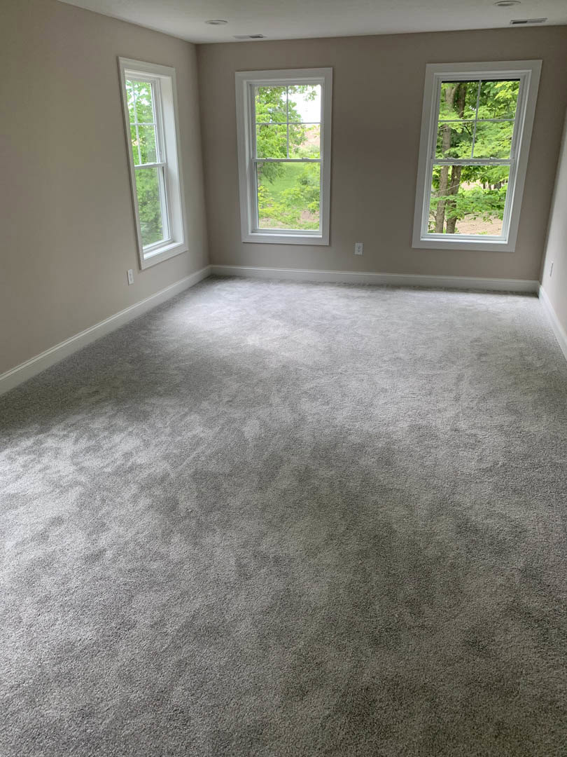 Bright room with two large white-framed windows, beige carpet flooring, smooth plaster walls, and ceiling; windows offer a view of green trees and grass outside.