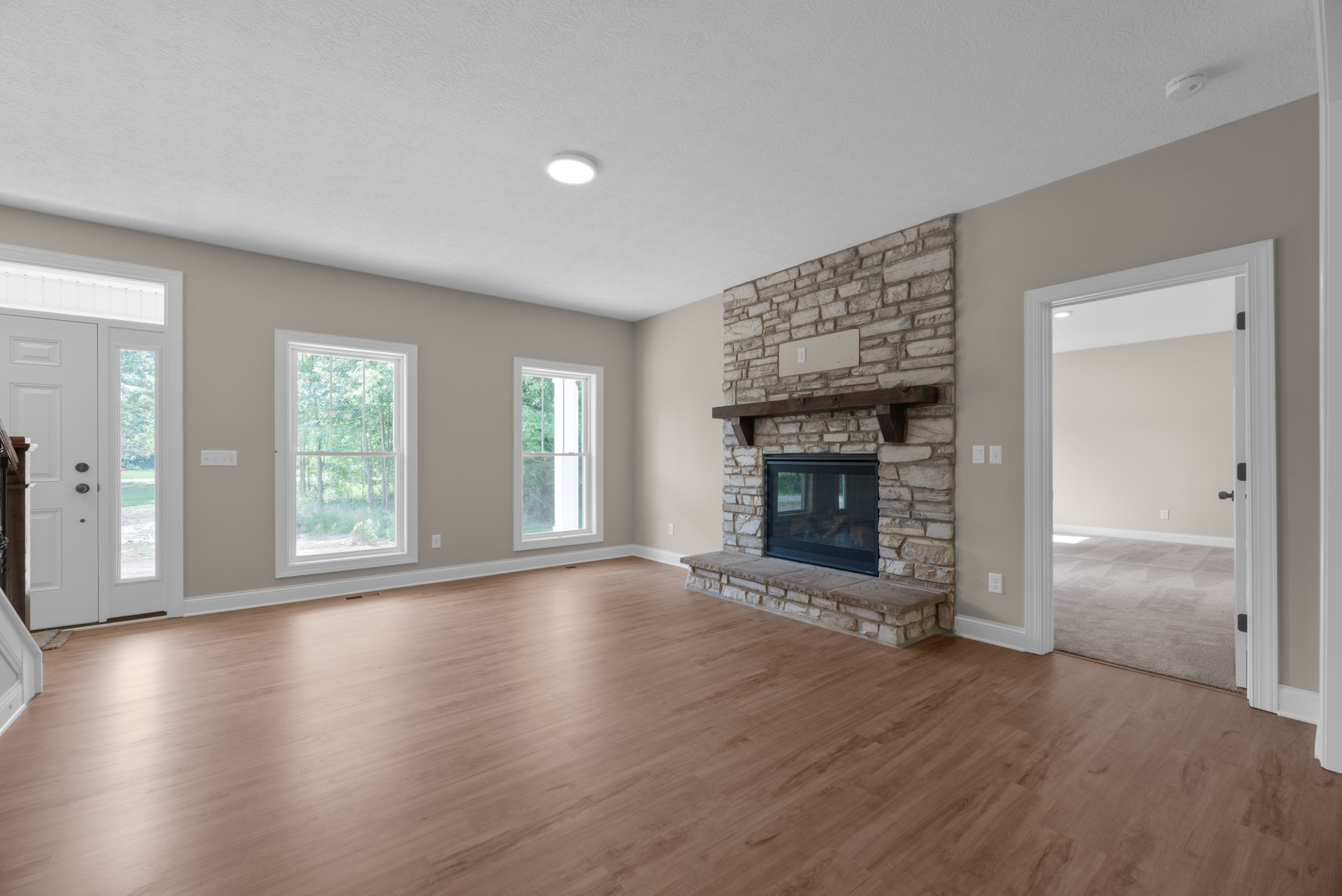 Living room with hardwood floor, white-framed window showing trees outside, glass-door fireplace set in plaster wall, ceiling light fixture
