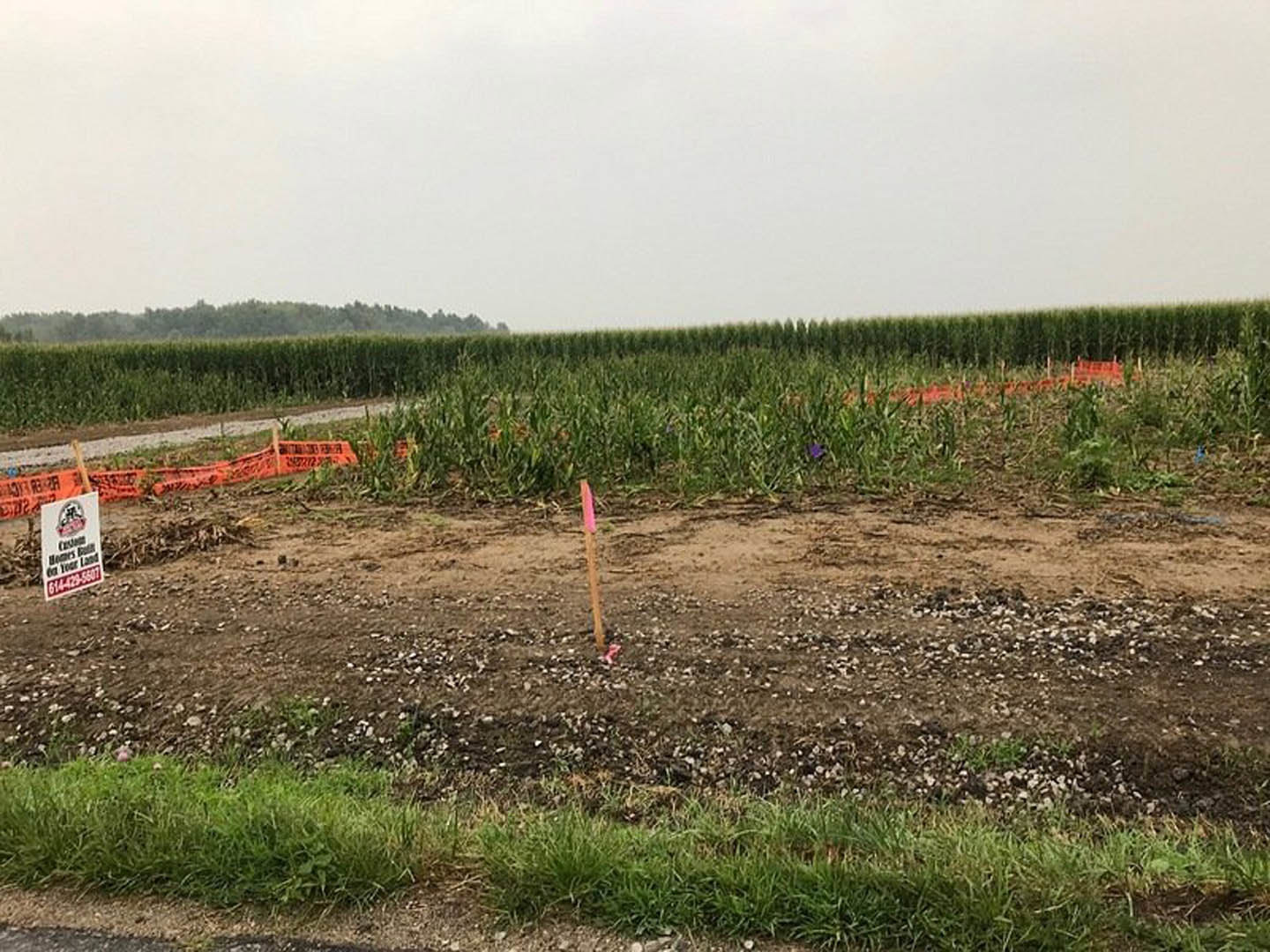 Cornfield with tall green stalks, white sign with black text mounted on a pole in dirt, grassy ground, distant line of trees, overcast sky with clouds