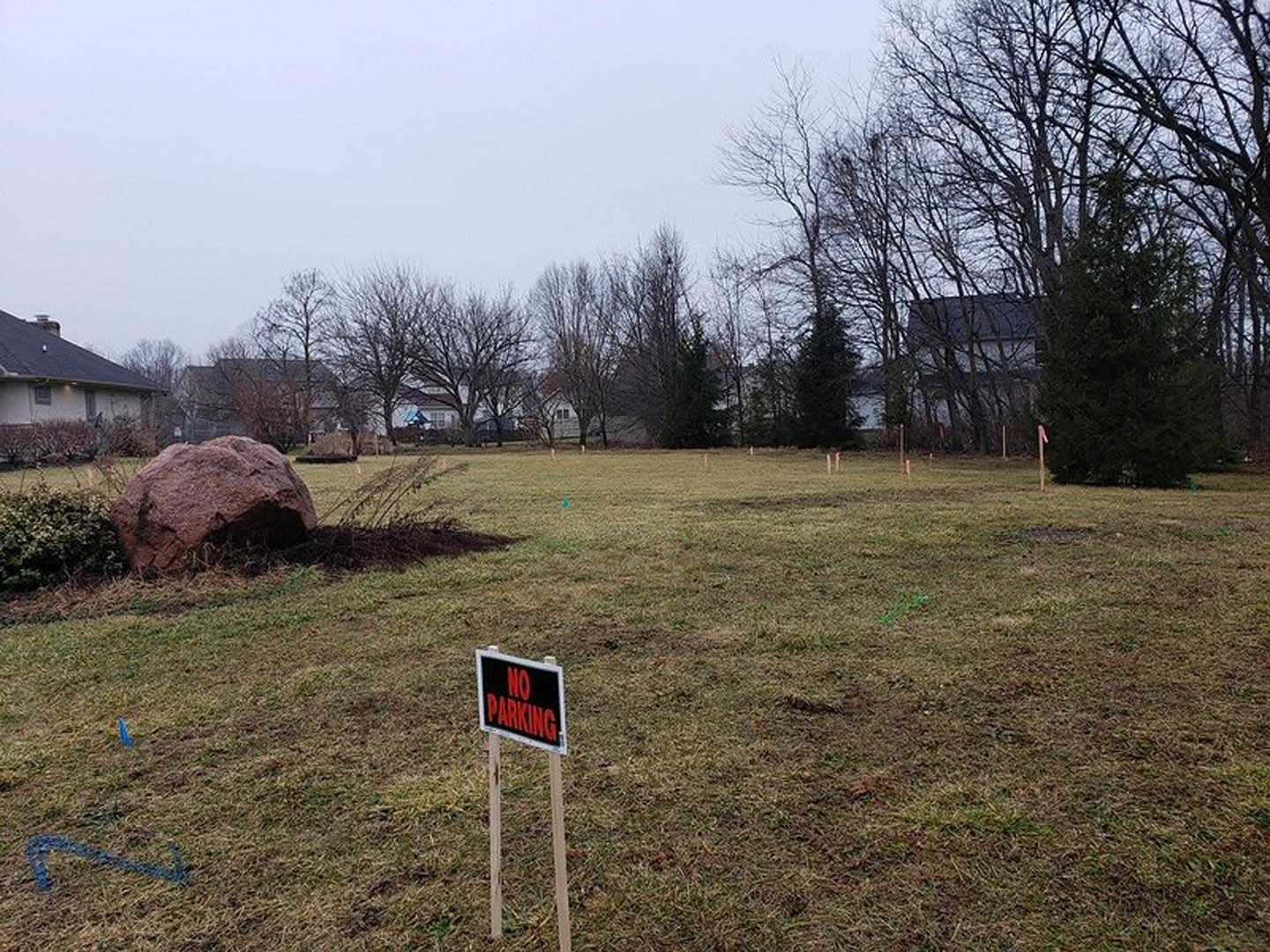 No parking sign mounted on wooden post in grassy field with large rock and leafless tree nearby, overcast winter sky in background