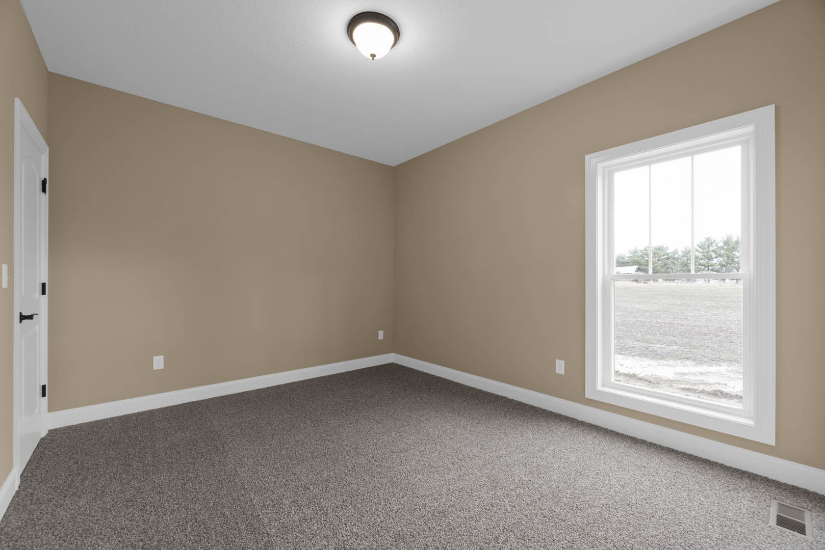Carpeted room with white walls, large window overlooking grassy field, ceiling light fixture, white door with black handle, crown molding along ceiling.