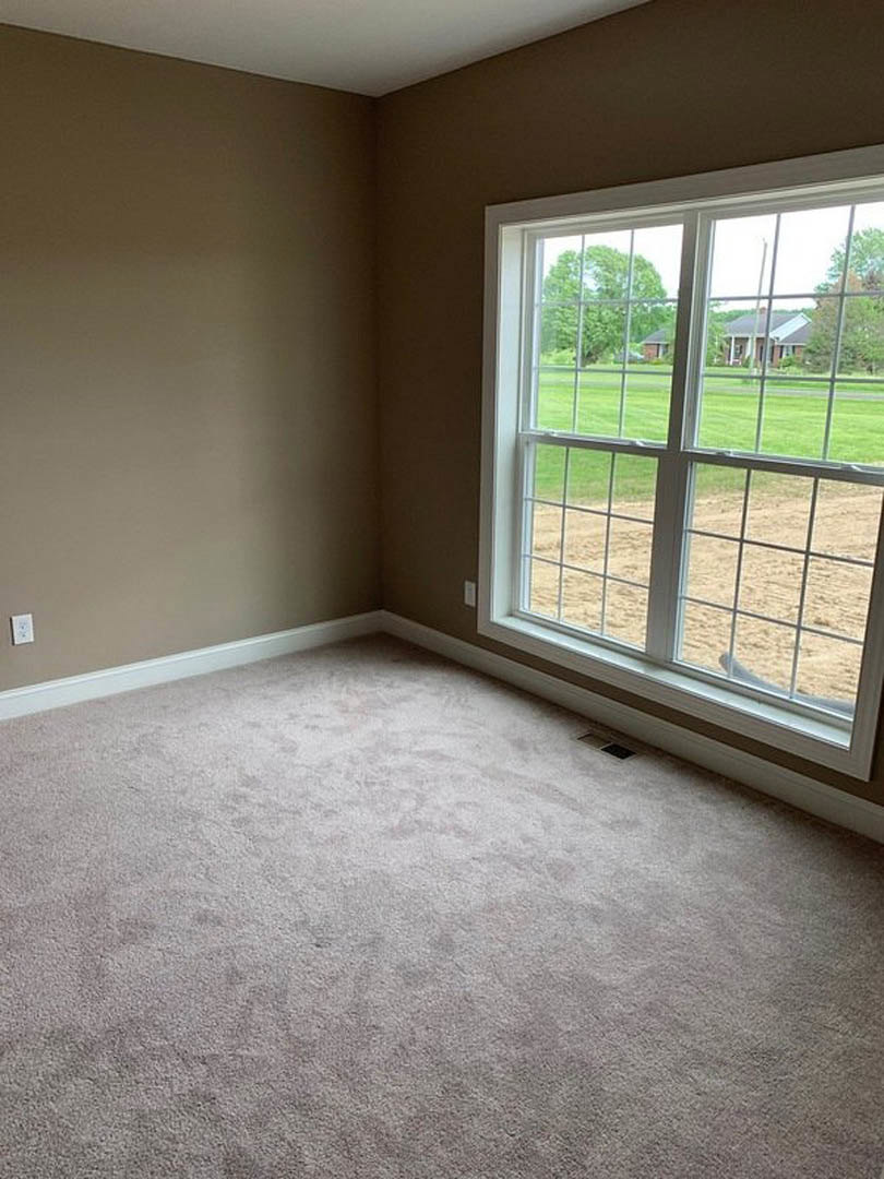 Bright room with white plaster walls, large window overlooking grassy field and distant tree, neutral carpet flooring, white electrical outlet on wall