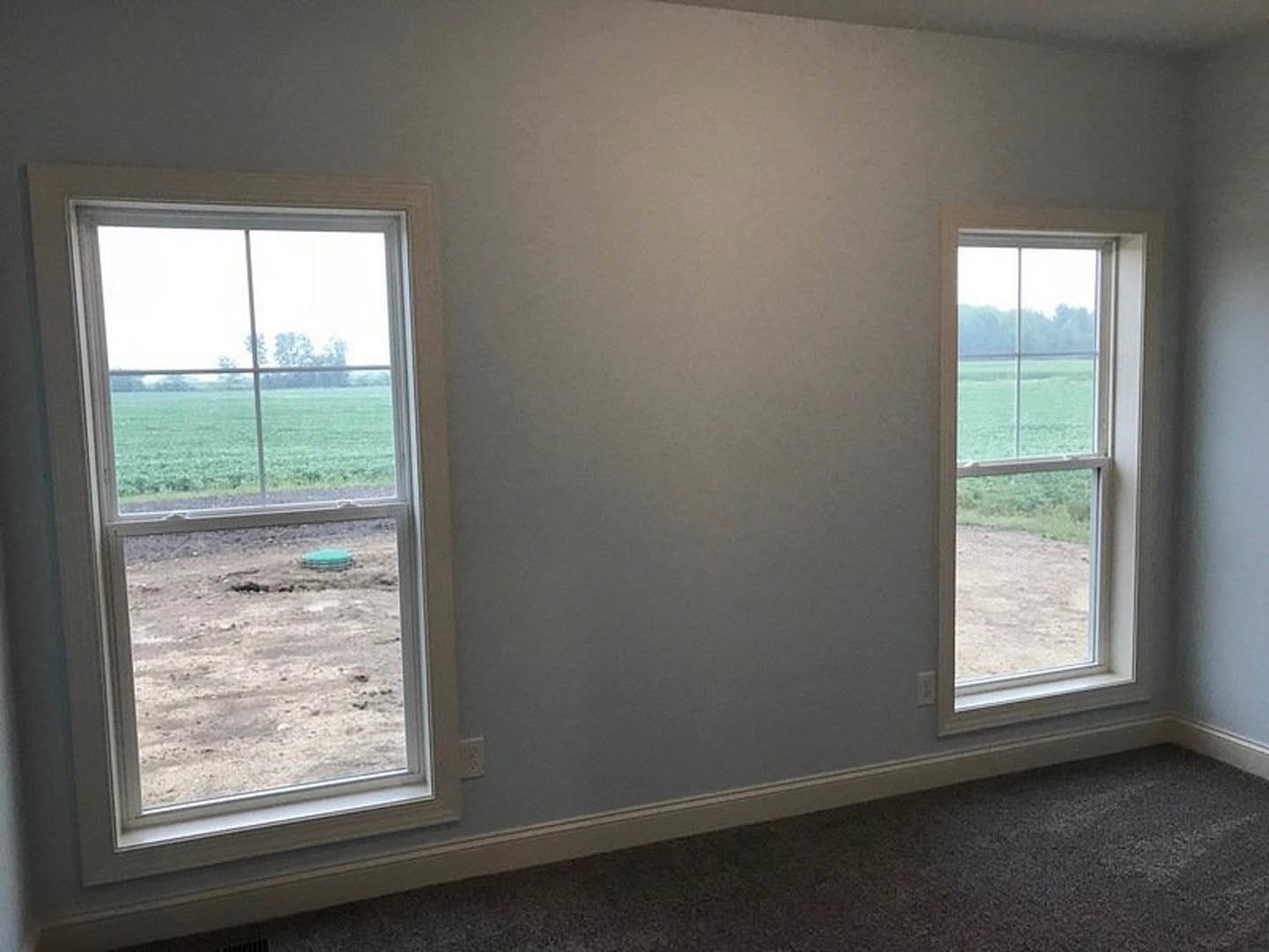 Bright room with two large windows, beige carpet flooring, white walls, and views of grassy field and dirt outside