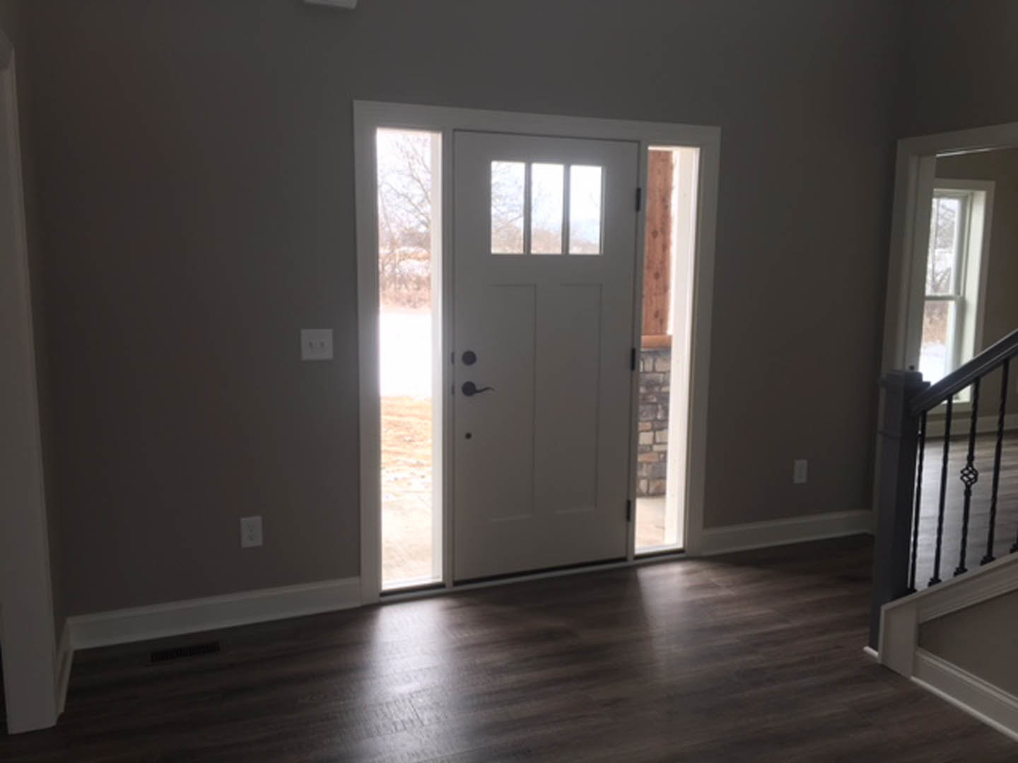 White paneled door with glass inserts, dark wood flooring, white wall with light switch, close-up of metal railing