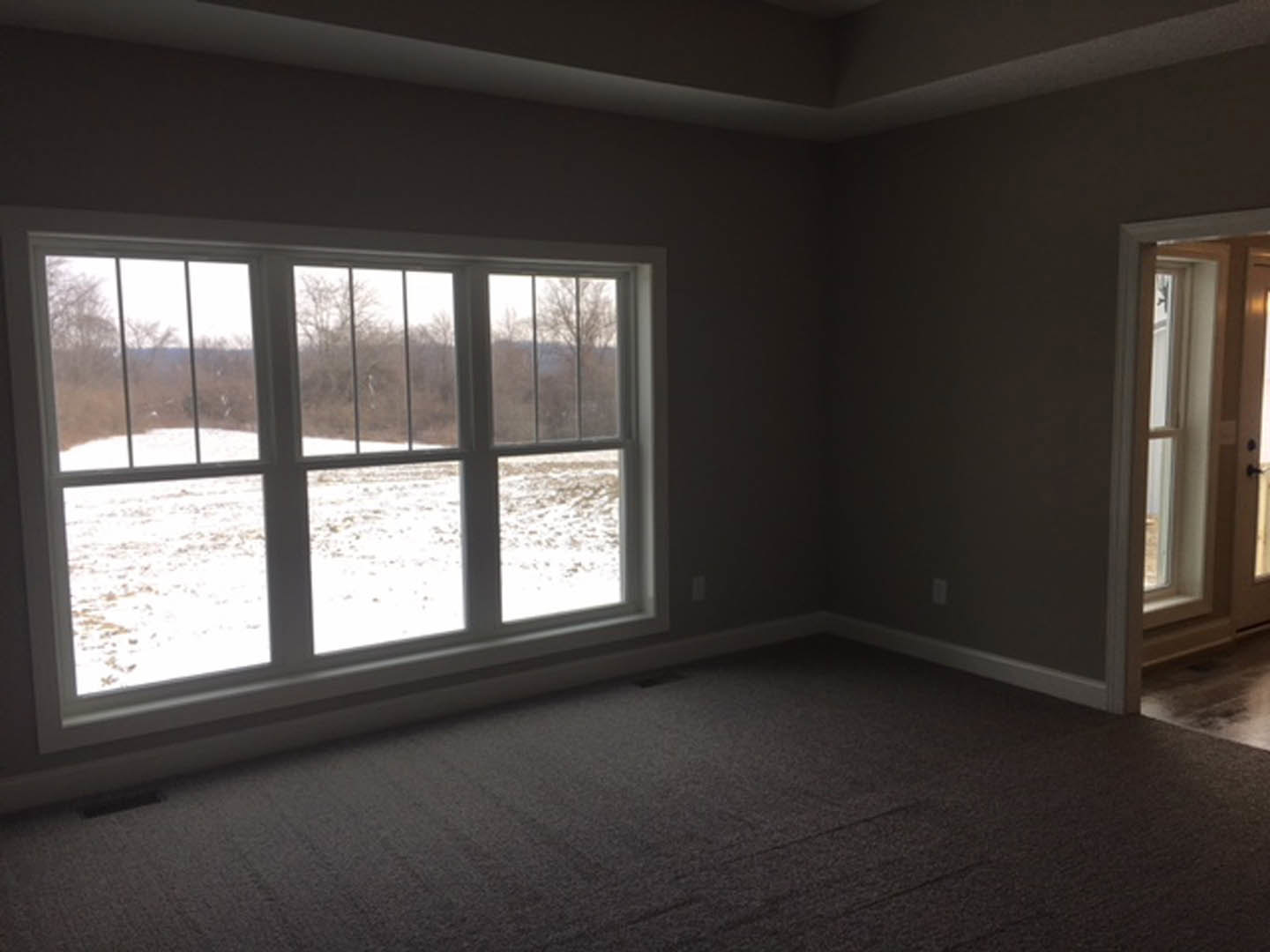 Carpeted bedroom with large window showing snowy landscape, white walls, door with glass panel, ceiling light fixture