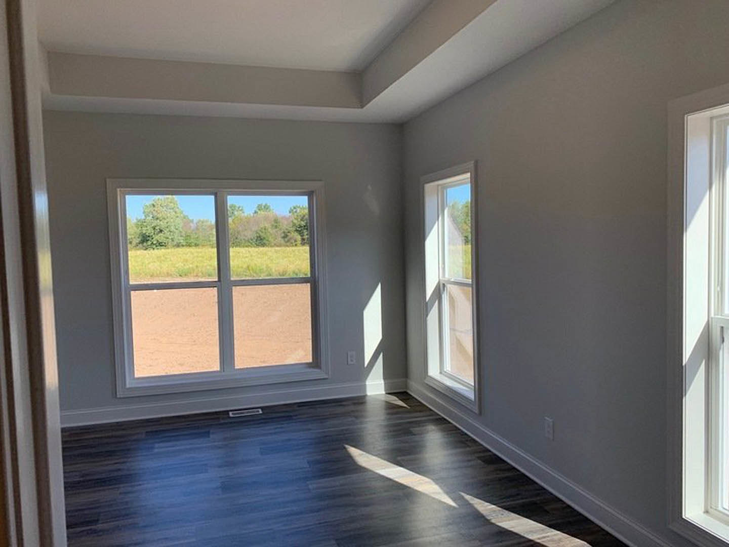 Dark wood flooring with sunlight highlighting the grain, white walls and molding, large window overlooking grassy field and trees, white door casting a shadow on adjacent wall